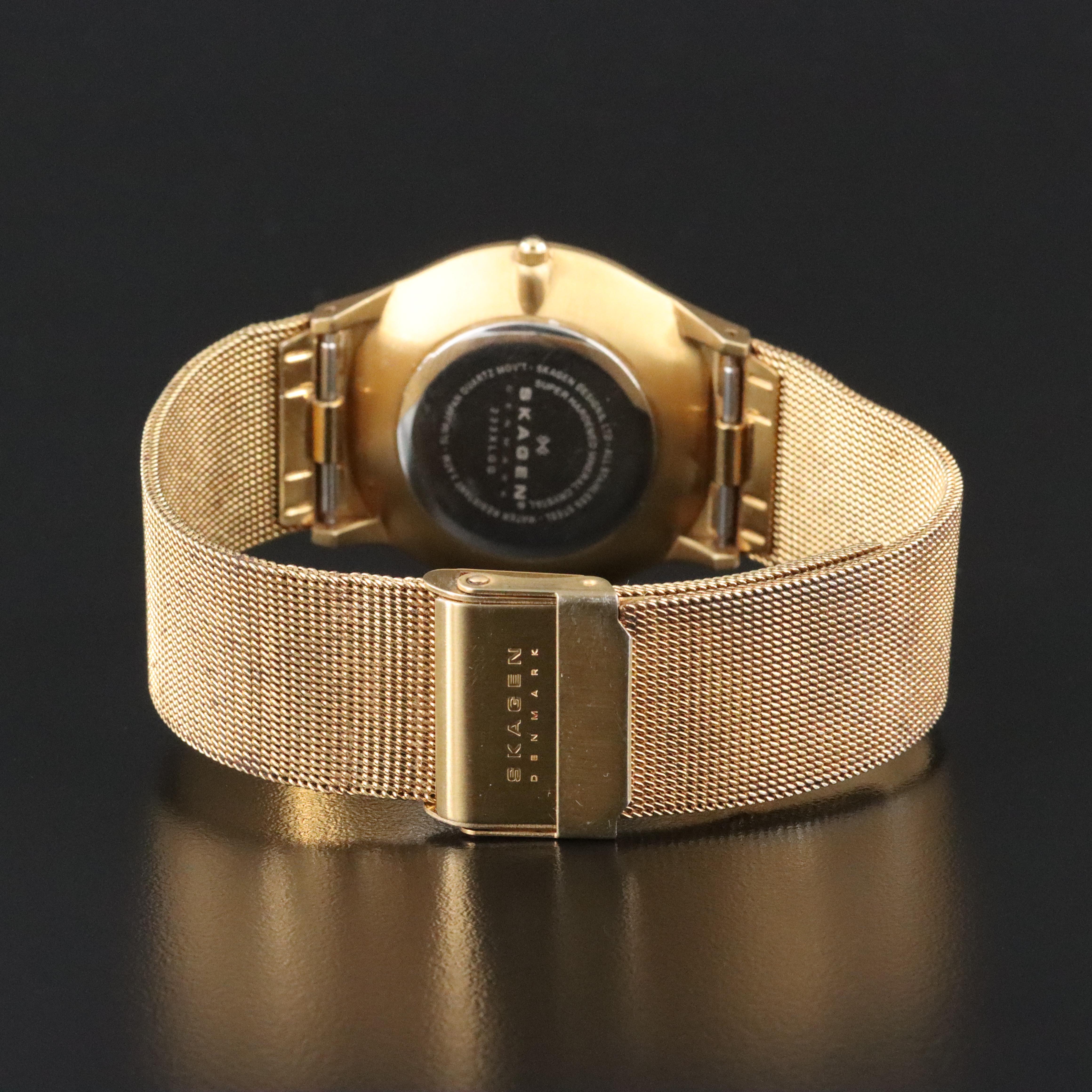 Skagen Denmark Steel Date Watch