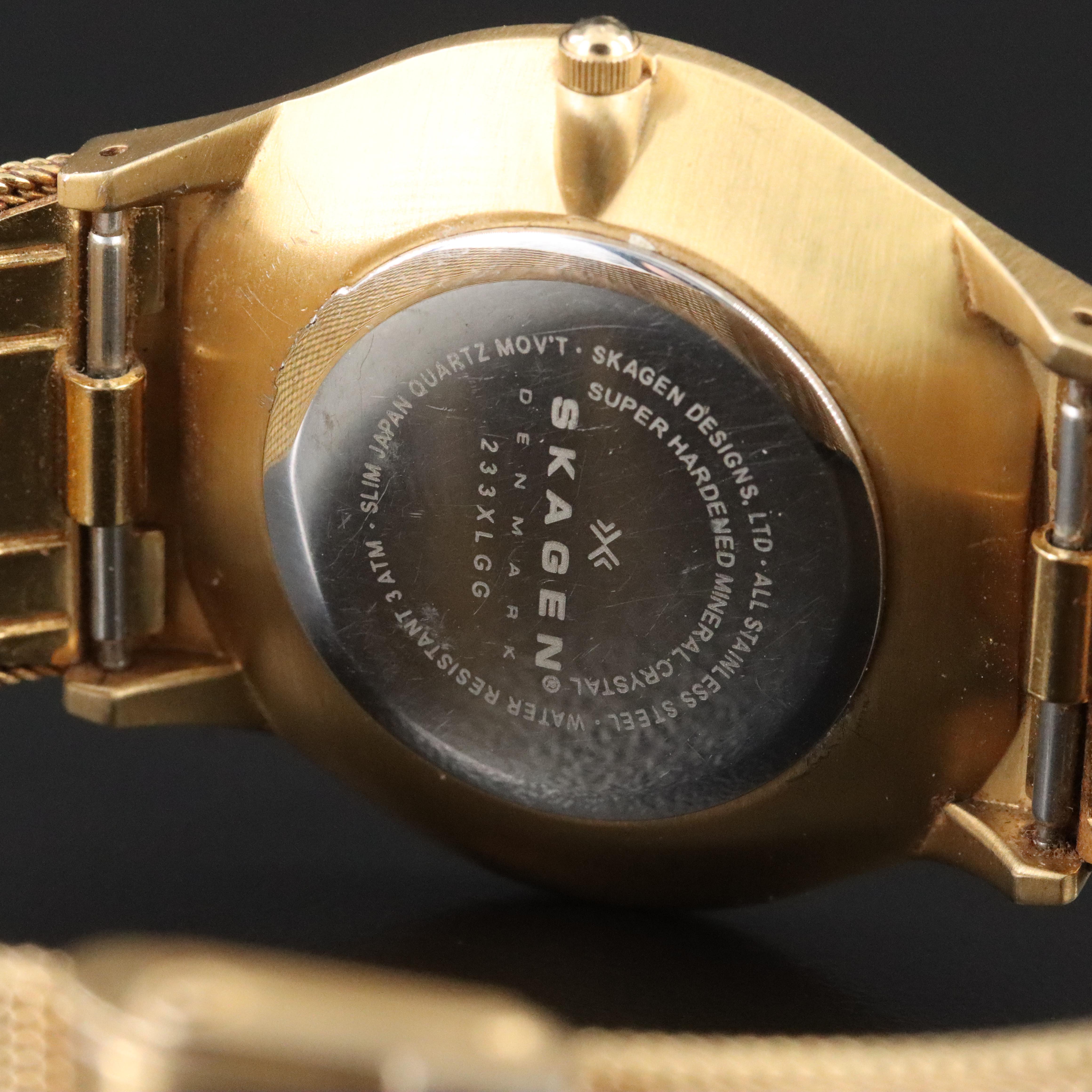 Skagen Denmark Steel Date Watch