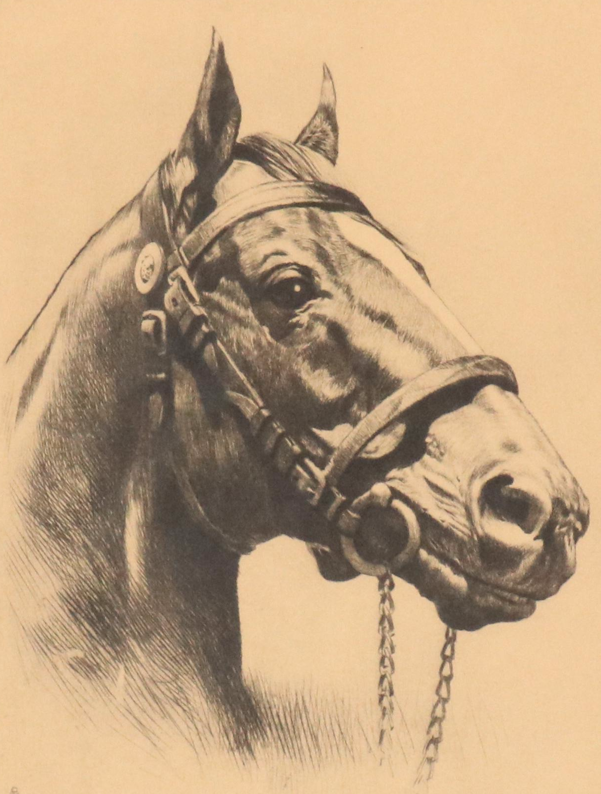 Halftone Horse Portrait "Man O' War" After Reinhold H Palenske