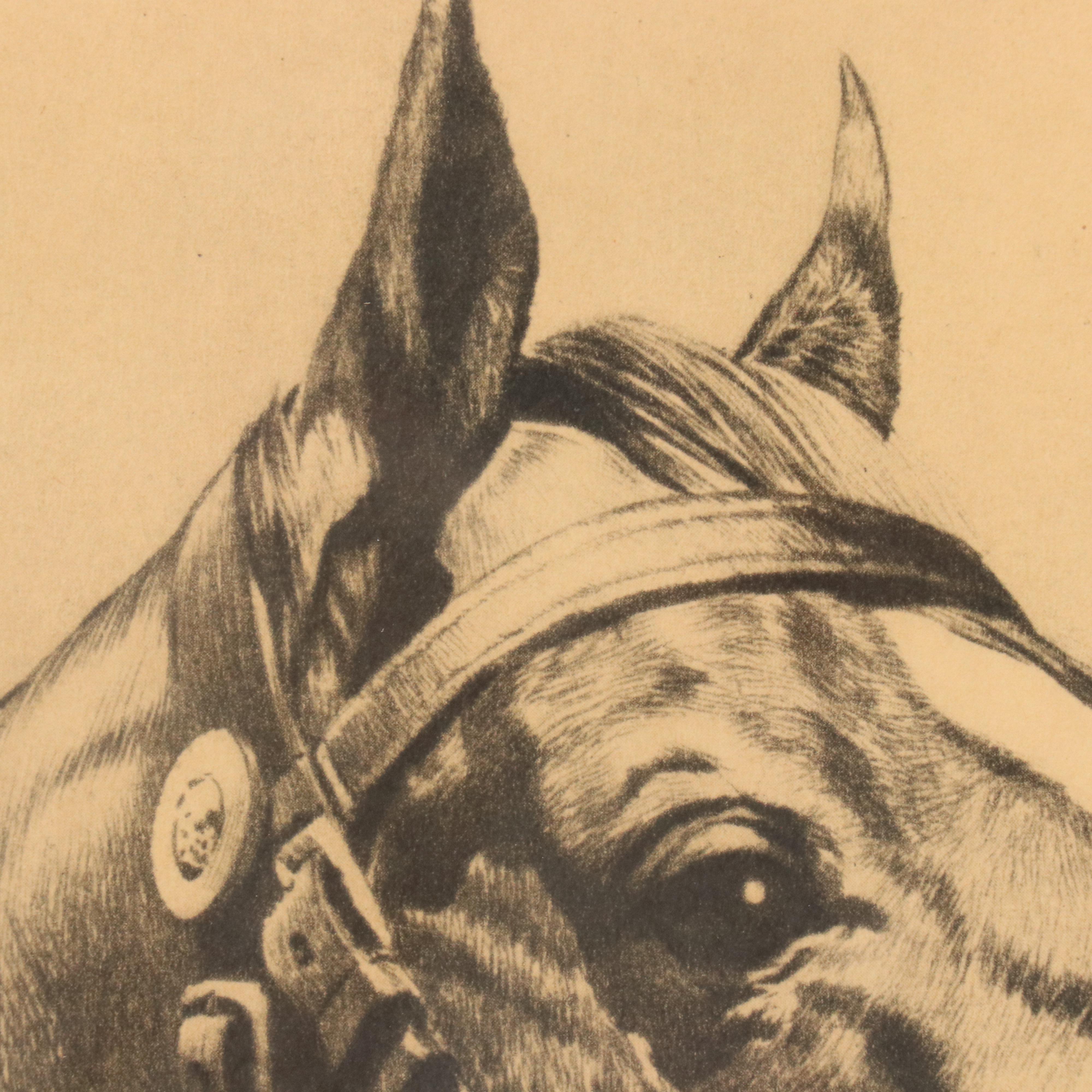 Halftone Horse Portrait "Man O' War" After Reinhold H Palenske