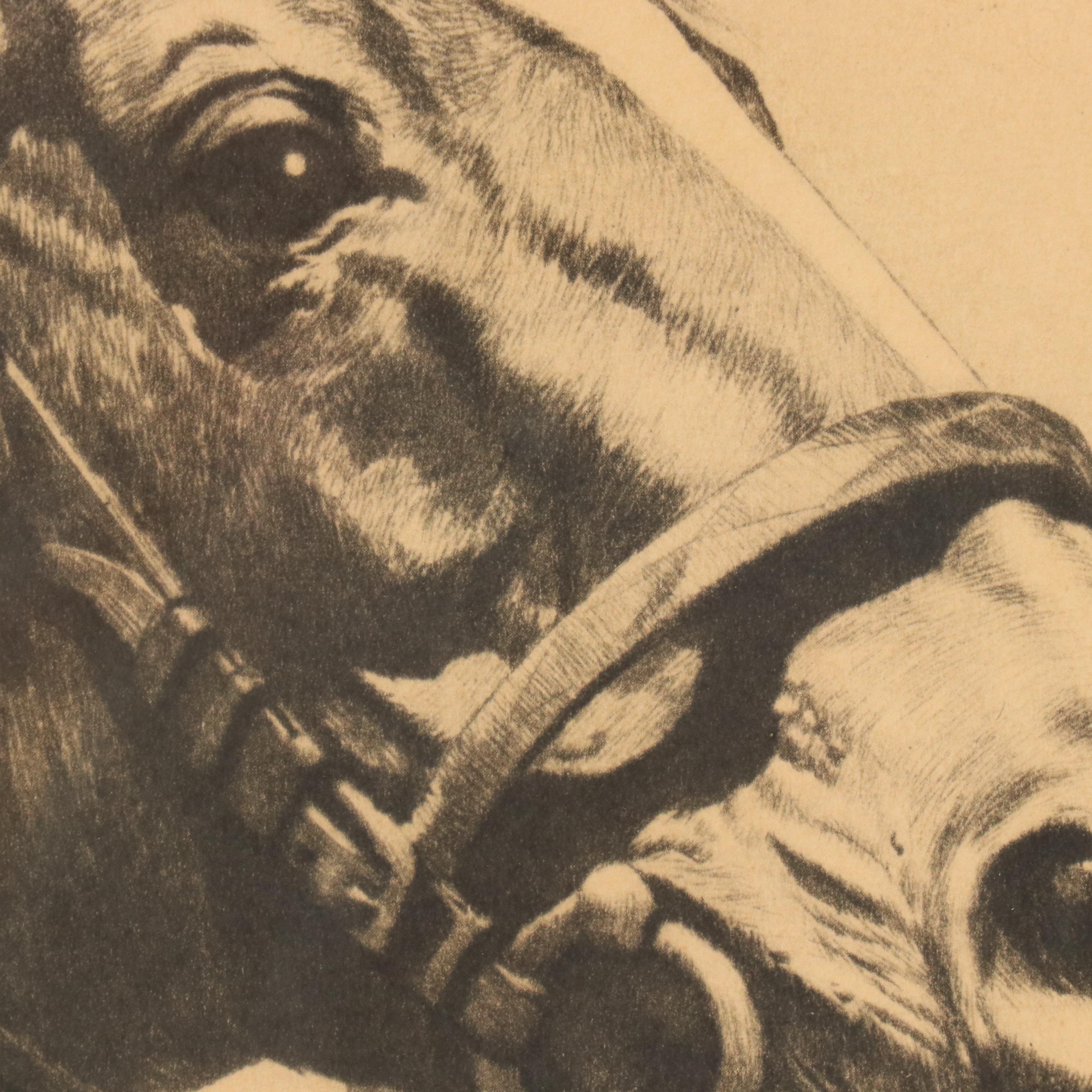 Halftone Horse Portrait "Man O' War" After Reinhold H Palenske