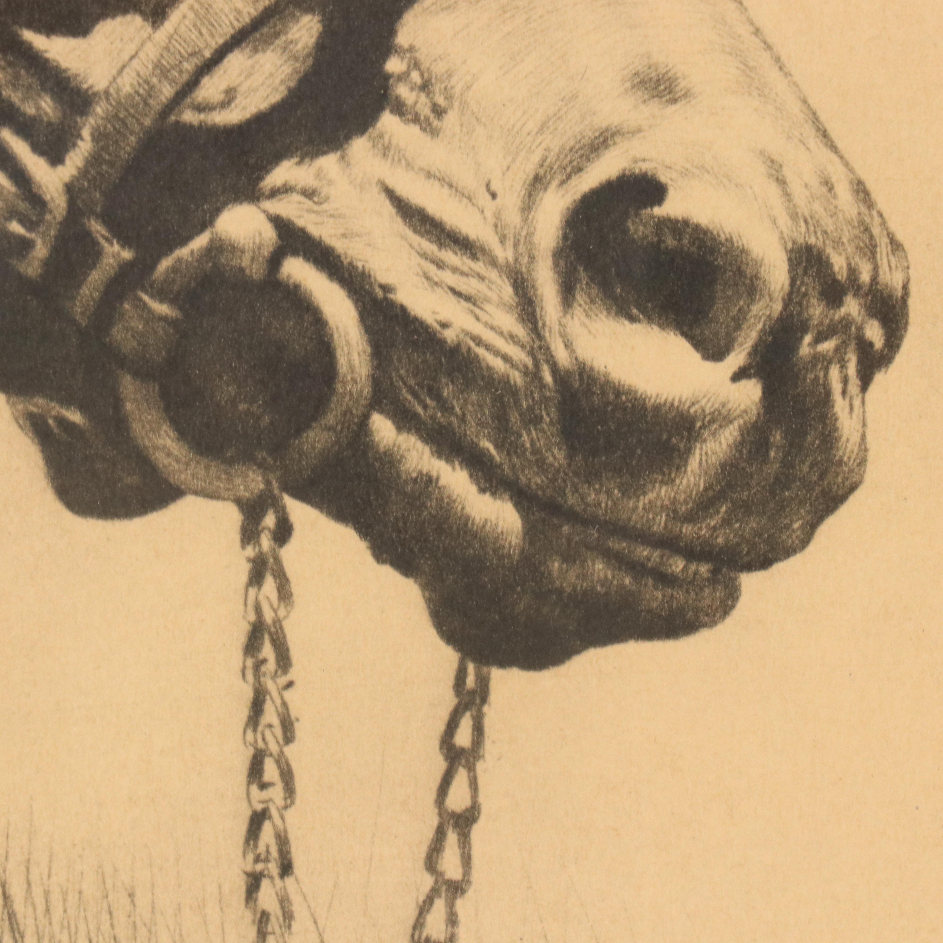 Halftone Horse Portrait "Man O' War" After Reinhold H Palenske