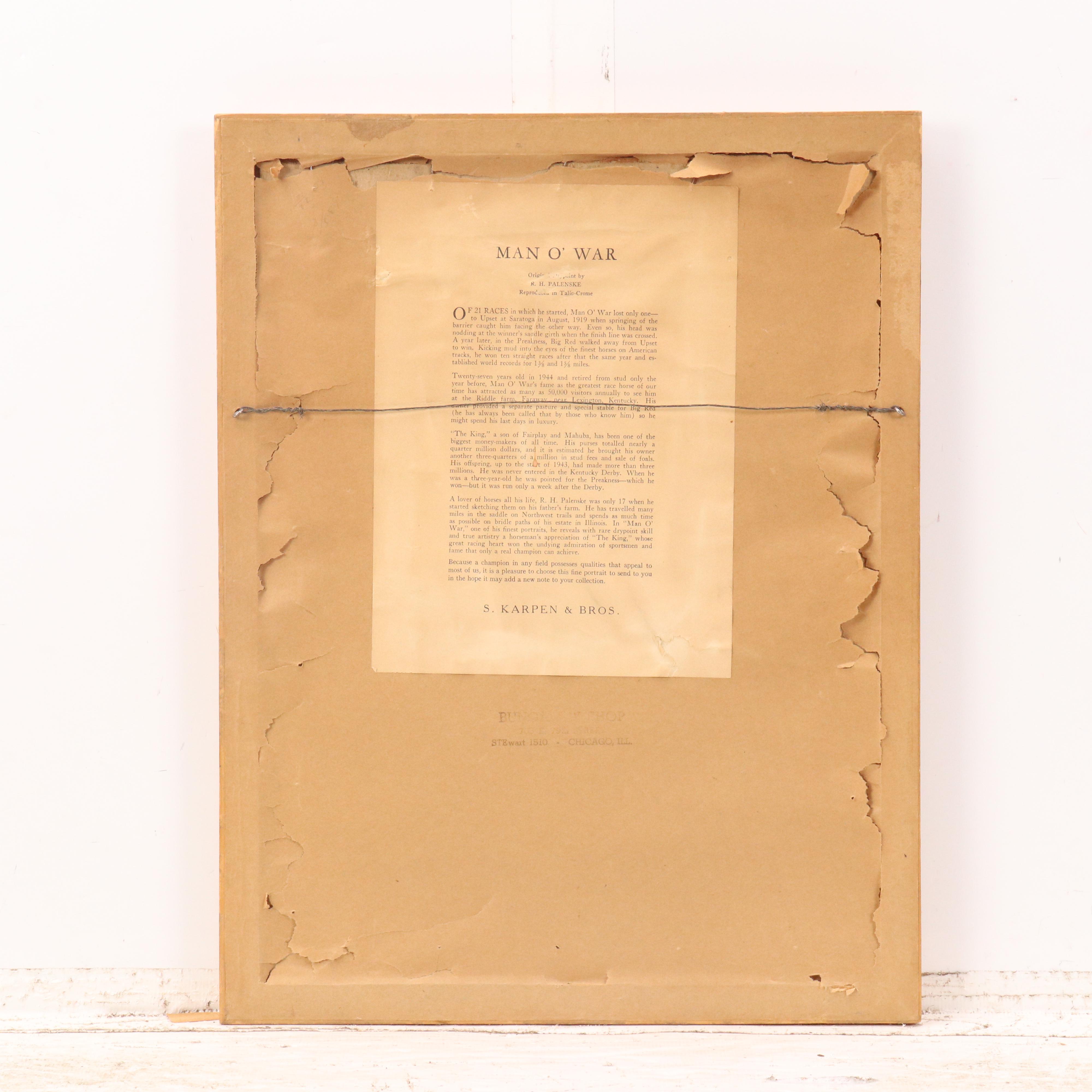 Halftone Horse Portrait "Man O' War" After Reinhold H Palenske