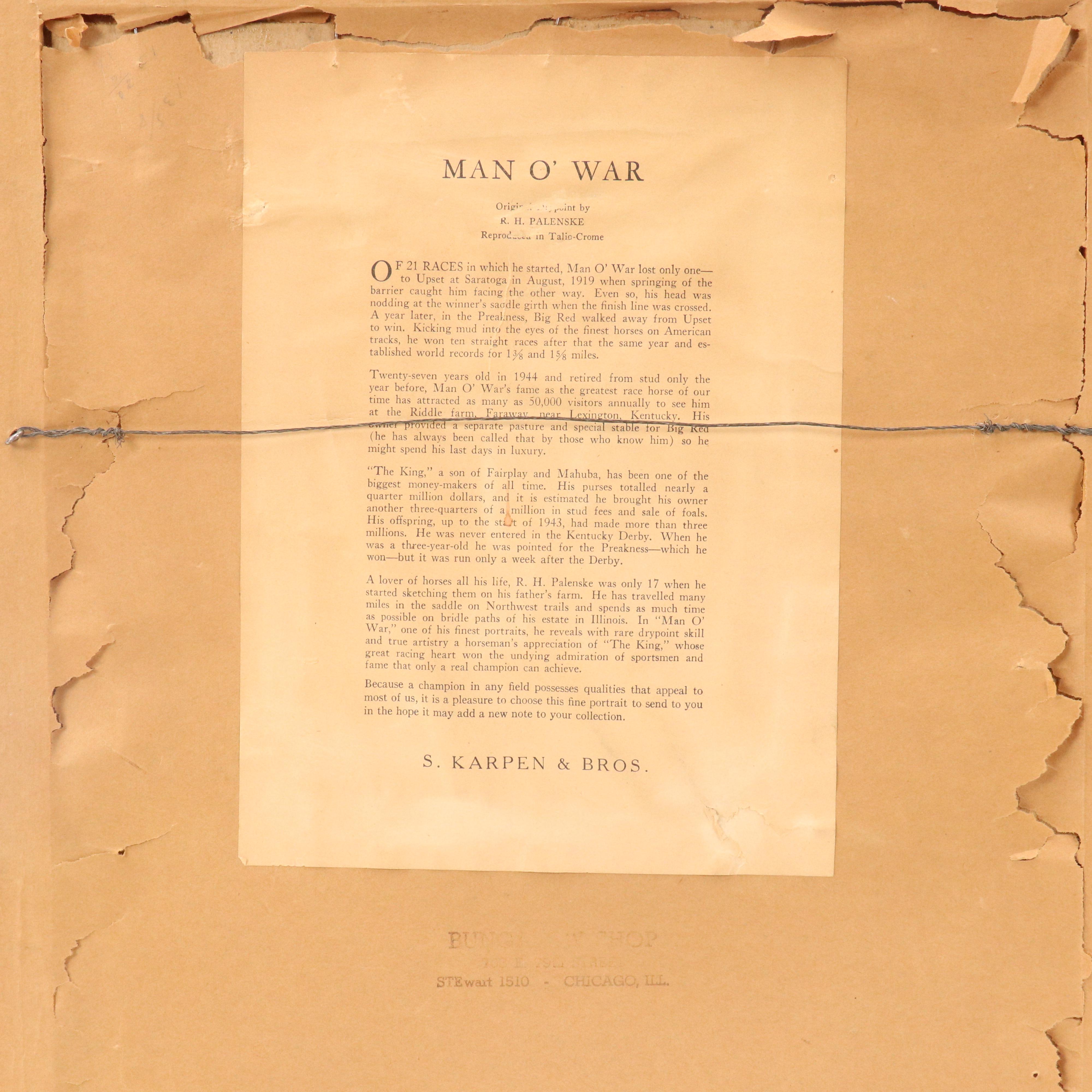 Halftone Horse Portrait "Man O' War" After Reinhold H Palenske