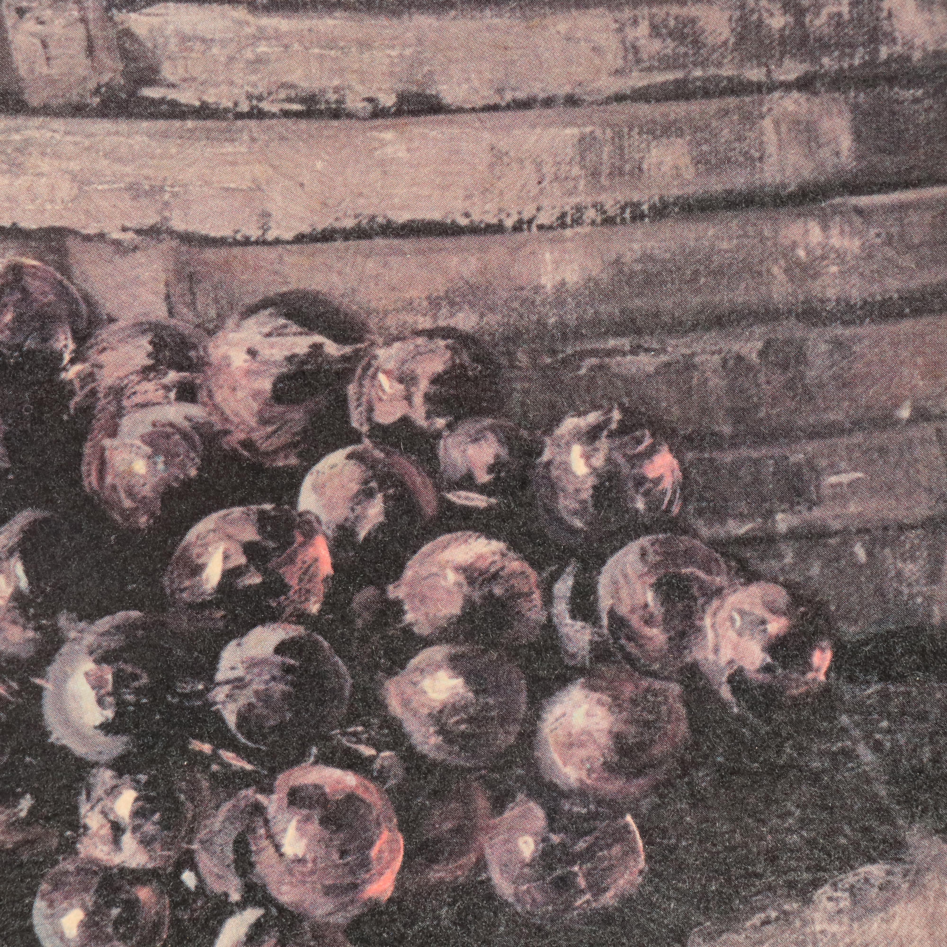 Offset Lithograph Still Life with Fruit