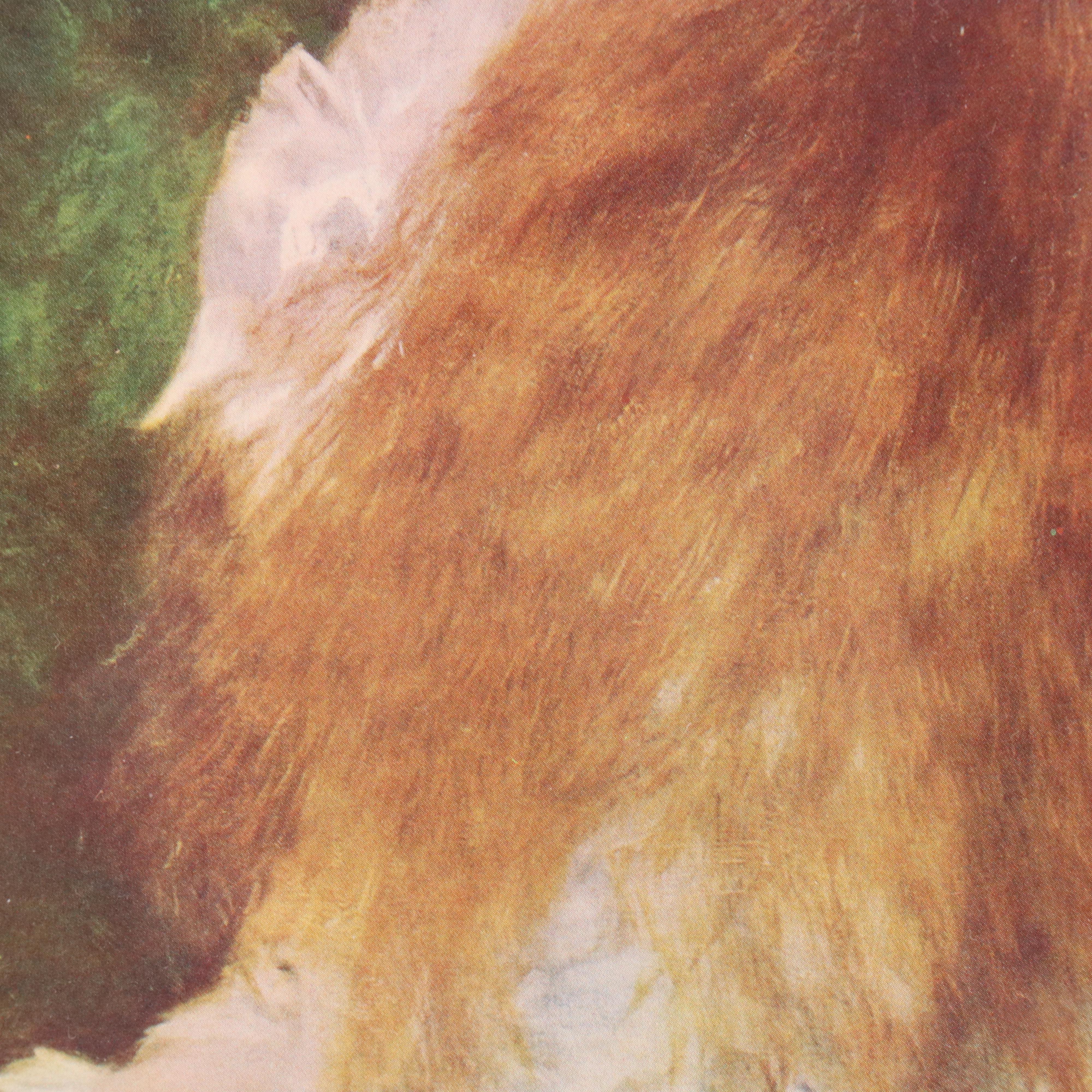 Offset Lithograph "Mademoiselle Irène Cahen d'Anvers" After Renoir