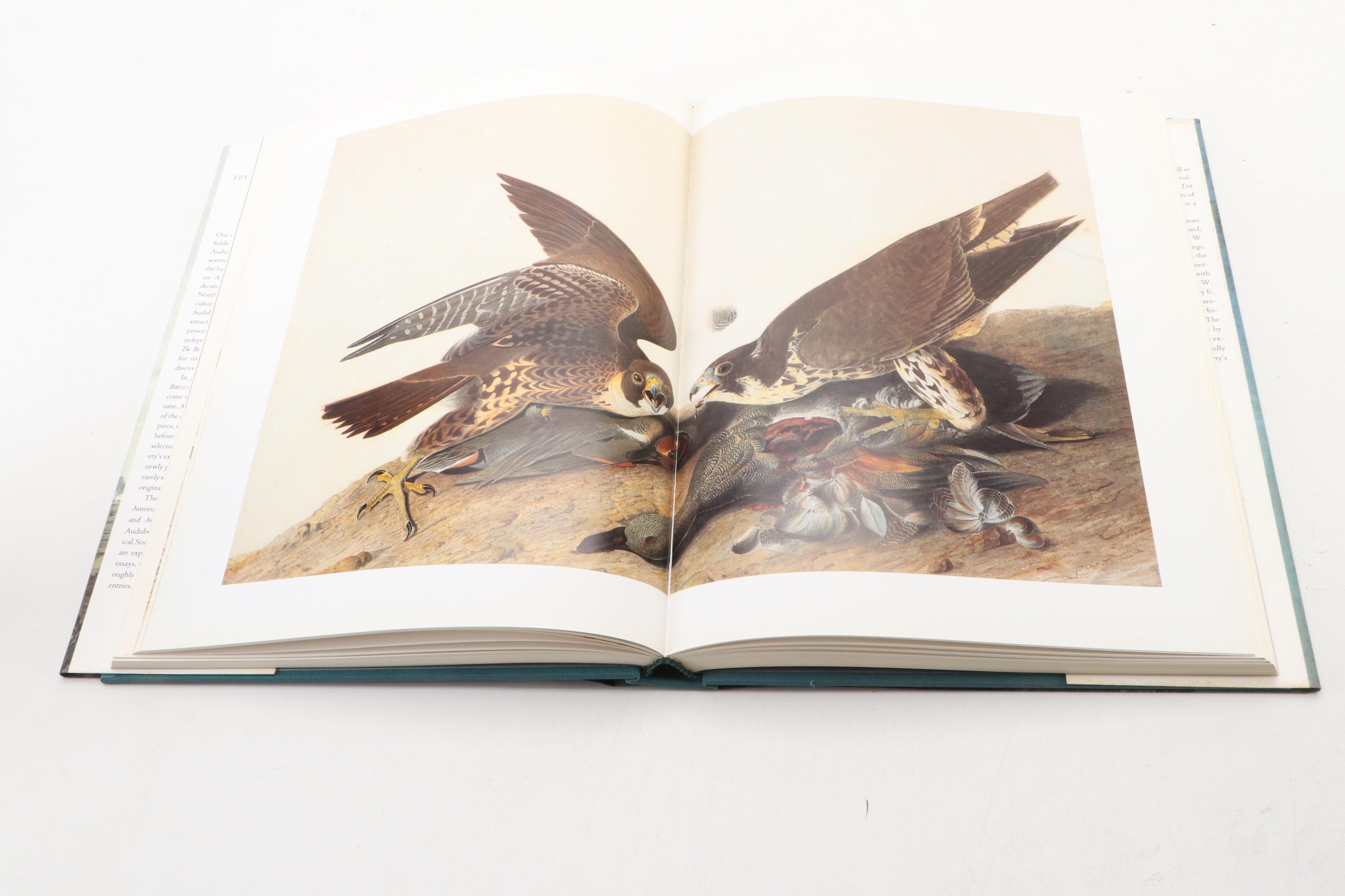 First Edition "John James Audubon: The Watercolors for Birds of America," 1993