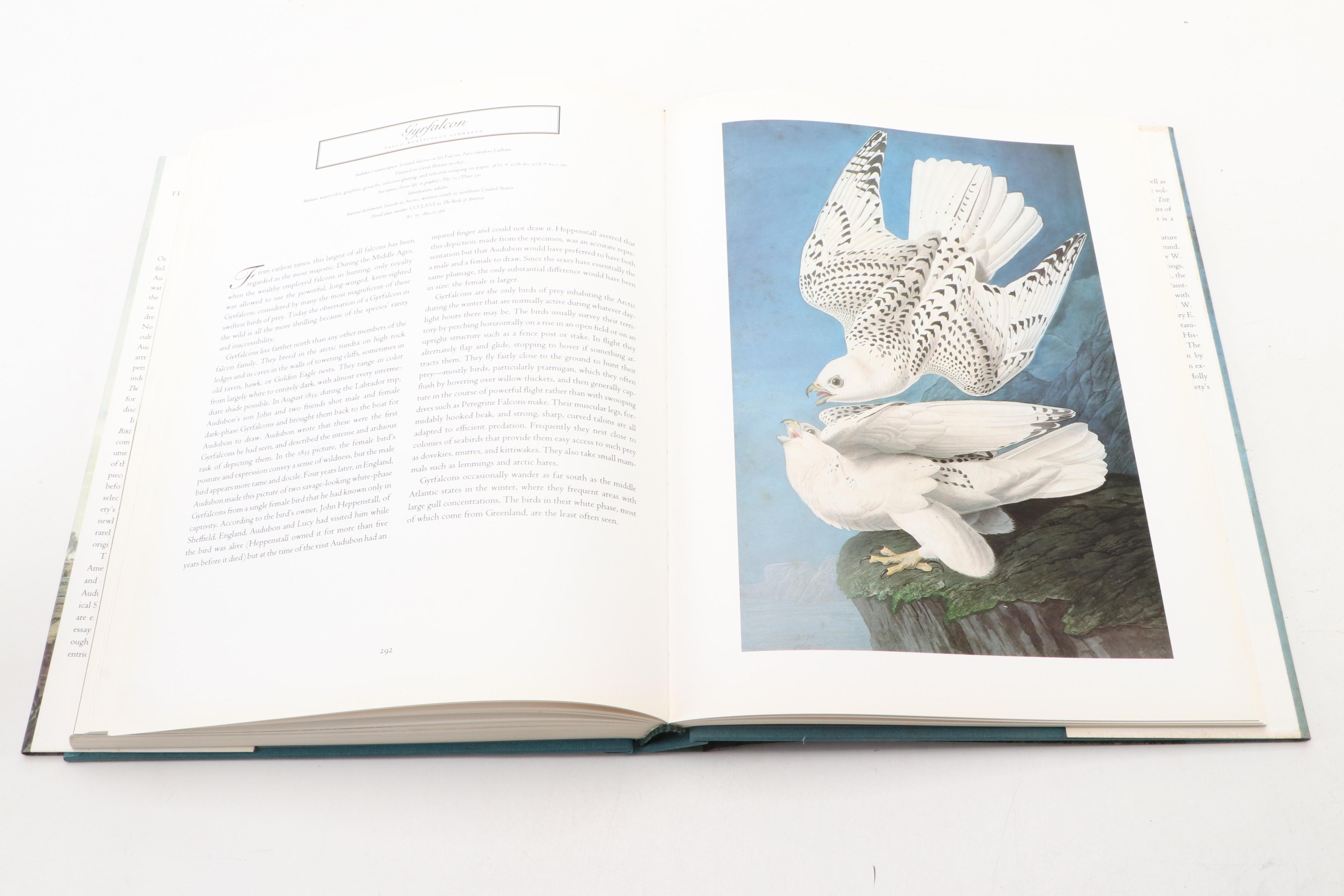 First Edition "John James Audubon: The Watercolors for Birds of America," 1993