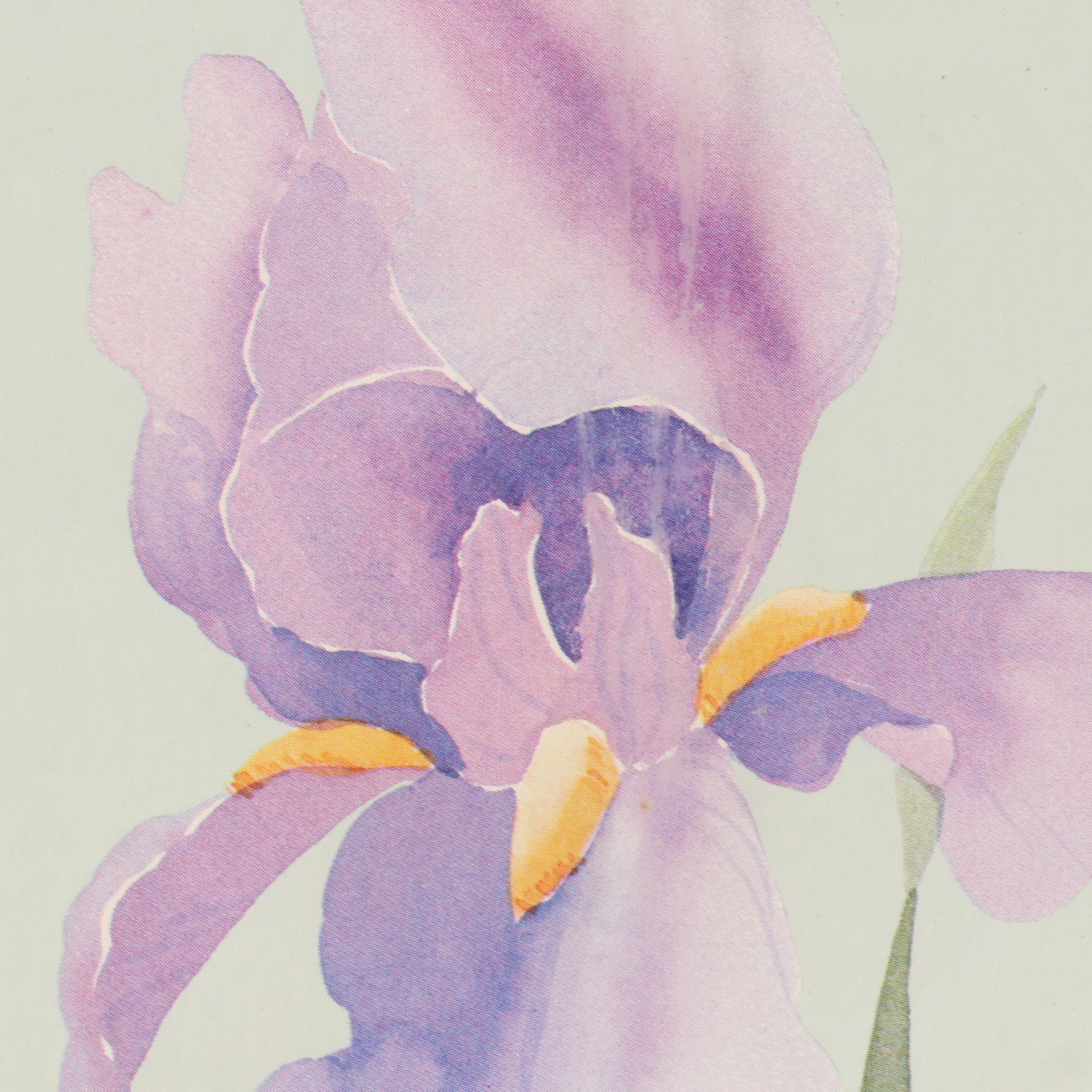 Floral Offset Lithograph "Purple Iris" After Marjorie Renfroe