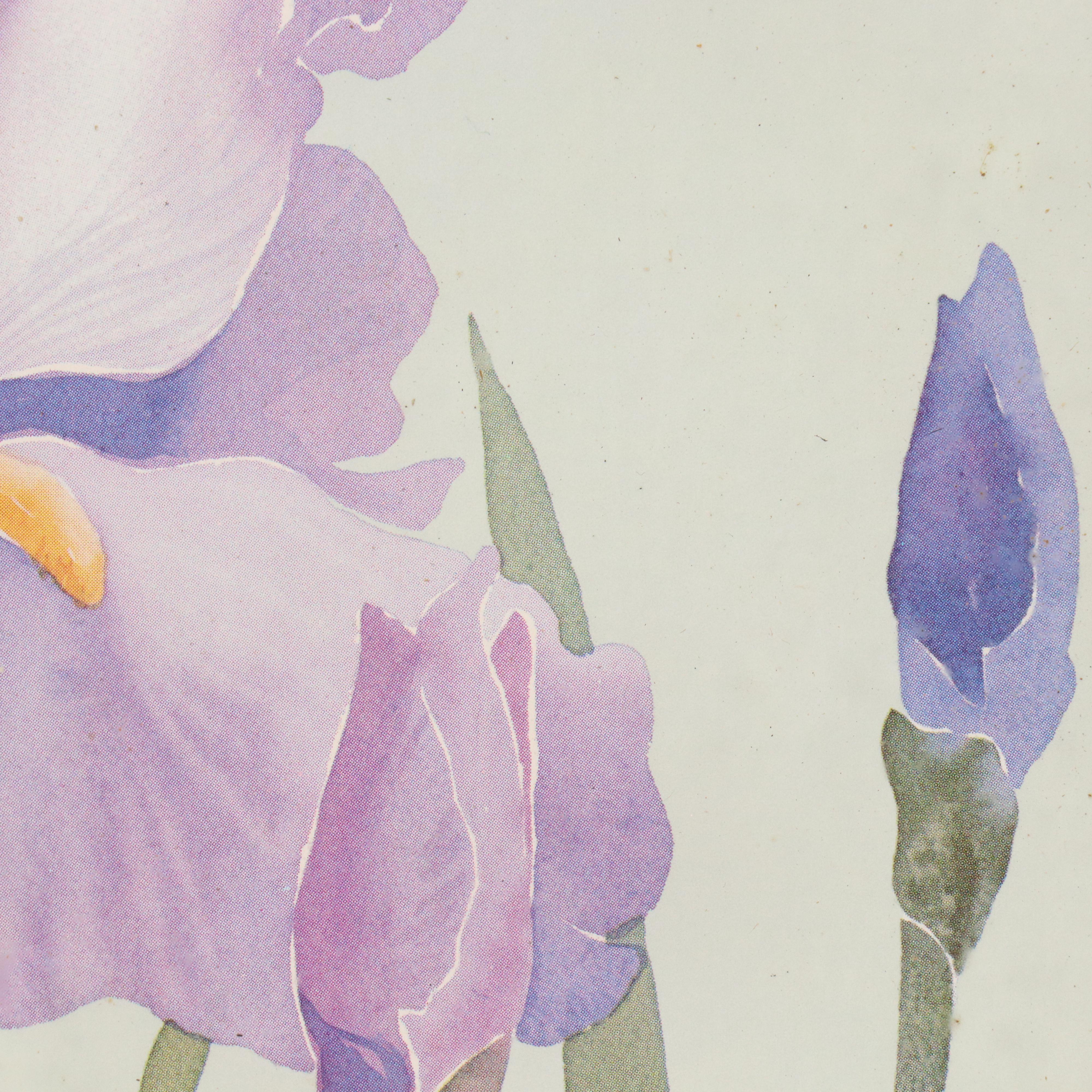 Floral Offset Lithograph "Purple Iris" After Marjorie Renfroe