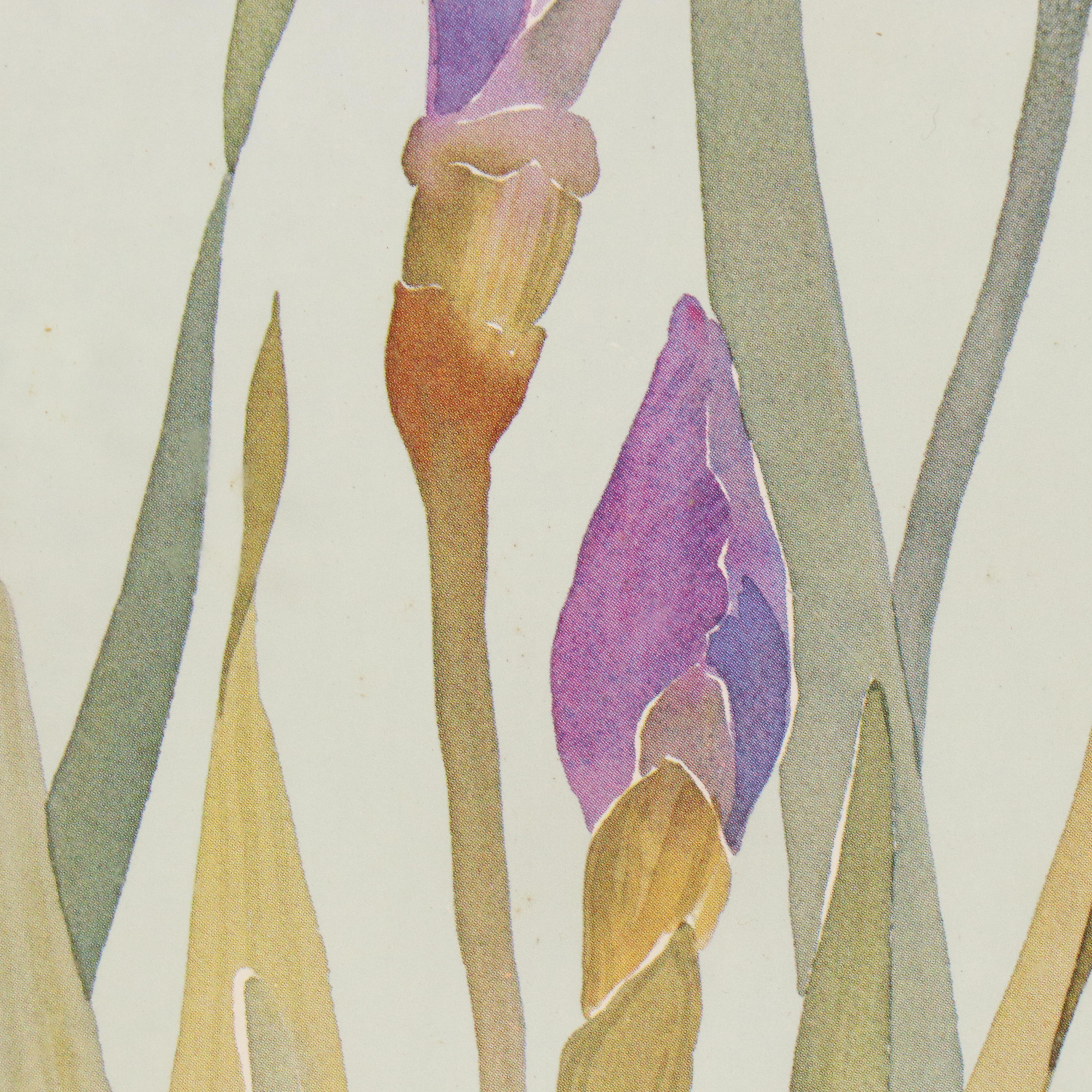 Floral Offset Lithograph "Purple Iris" After Marjorie Renfroe