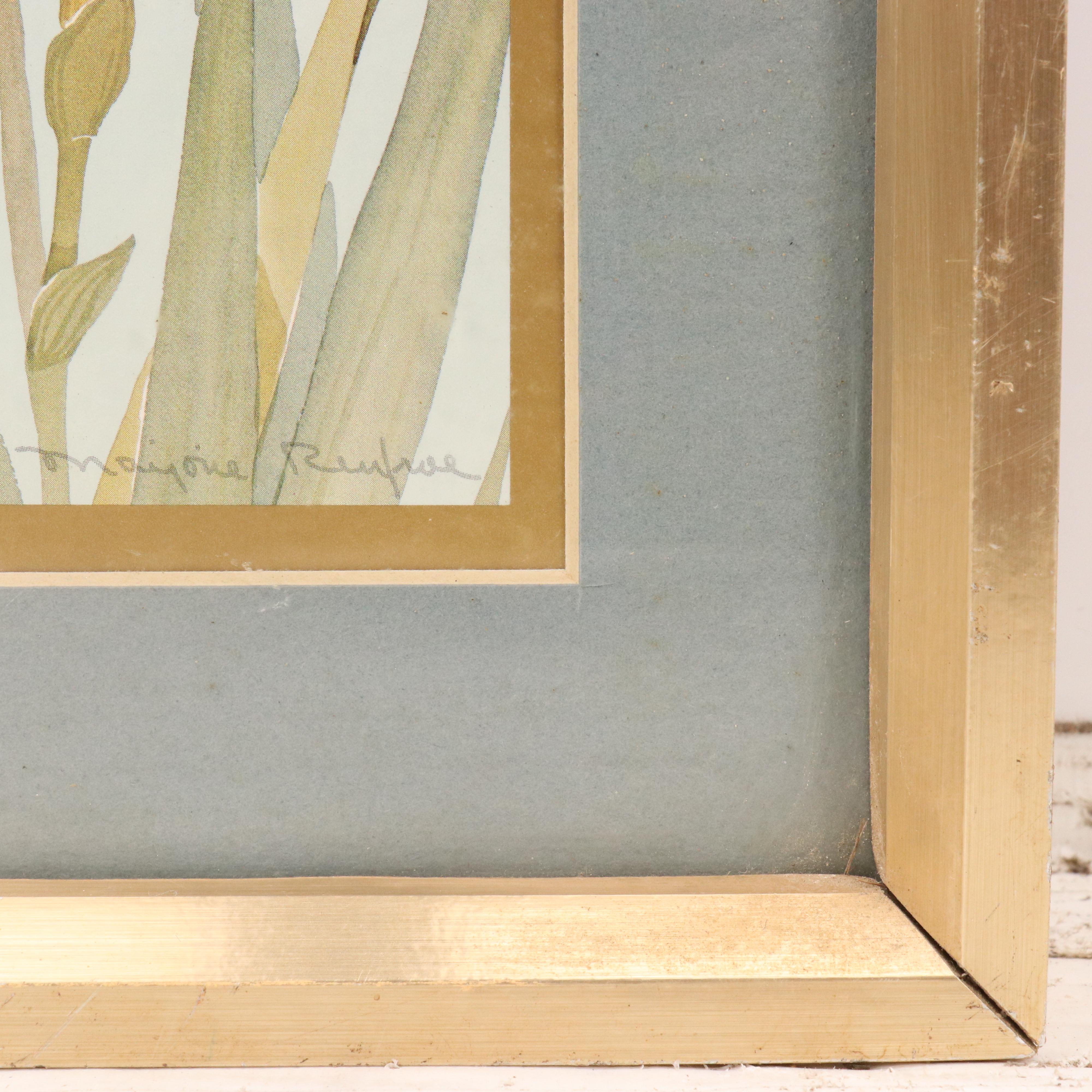 Floral Offset Lithograph "Purple Iris" After Marjorie Renfroe