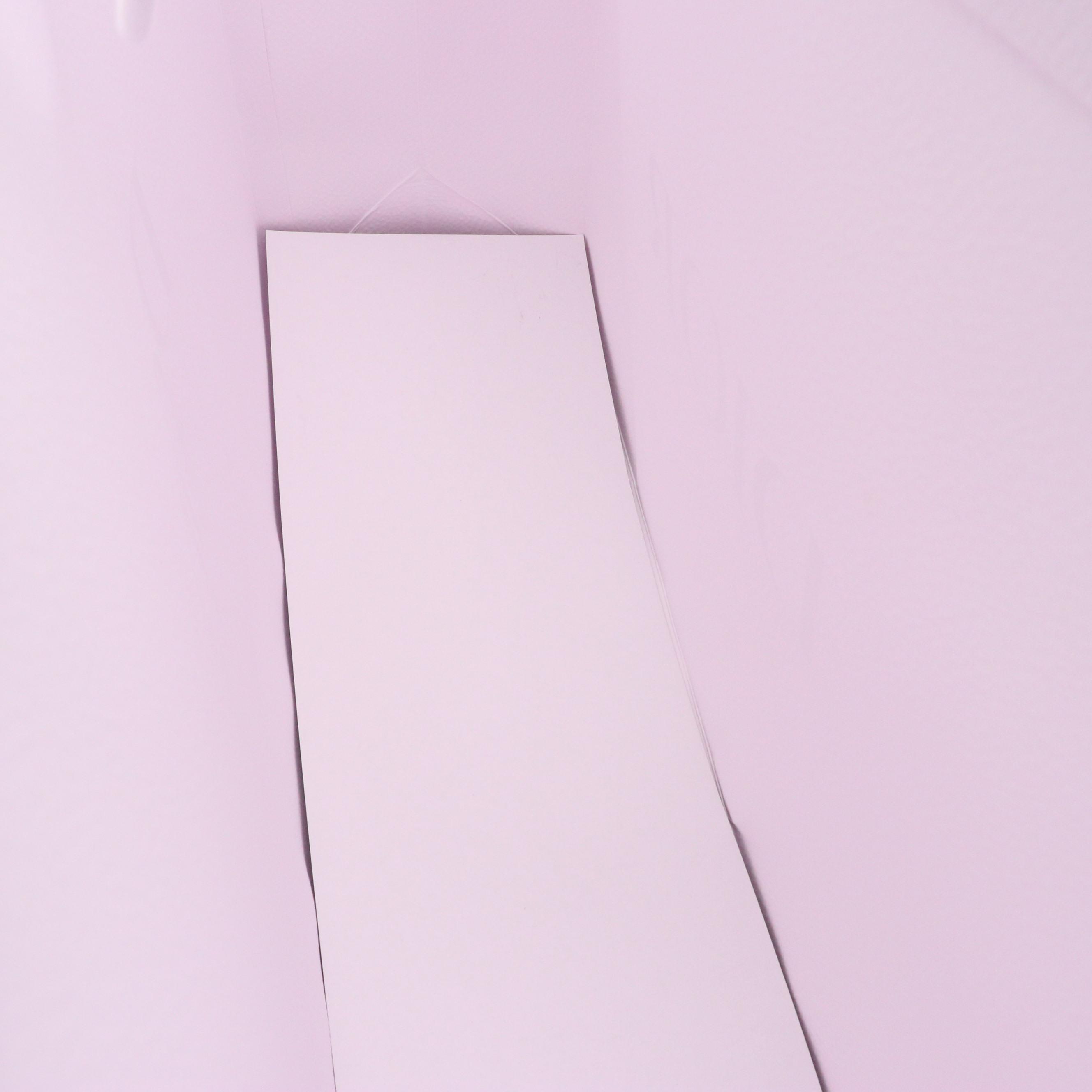 Christian Dior Retail Gift Bags, Folders, Envelopes and Ribbons