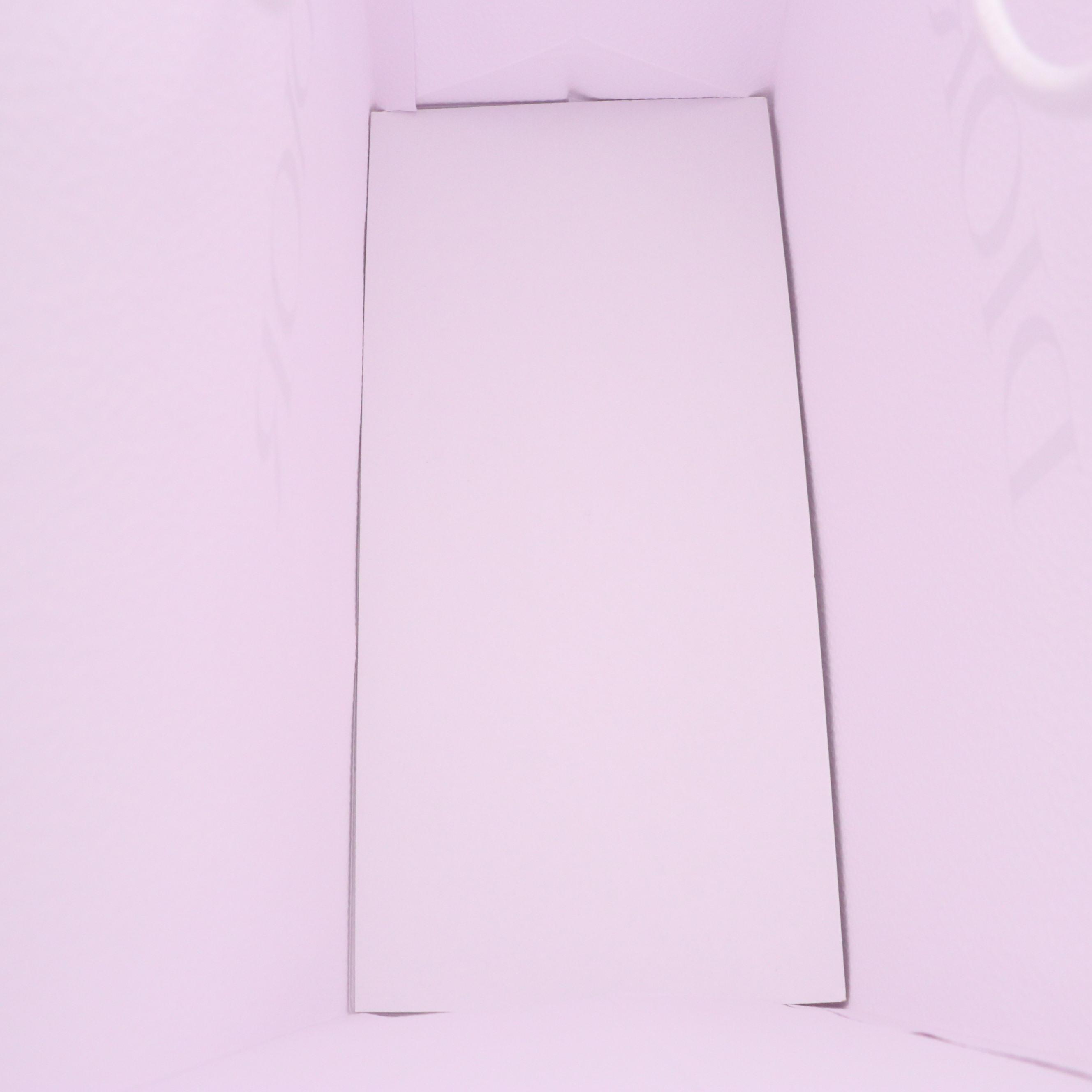 Christian Dior Retail Gift Bags, Folders, Envelopes and Ribbons