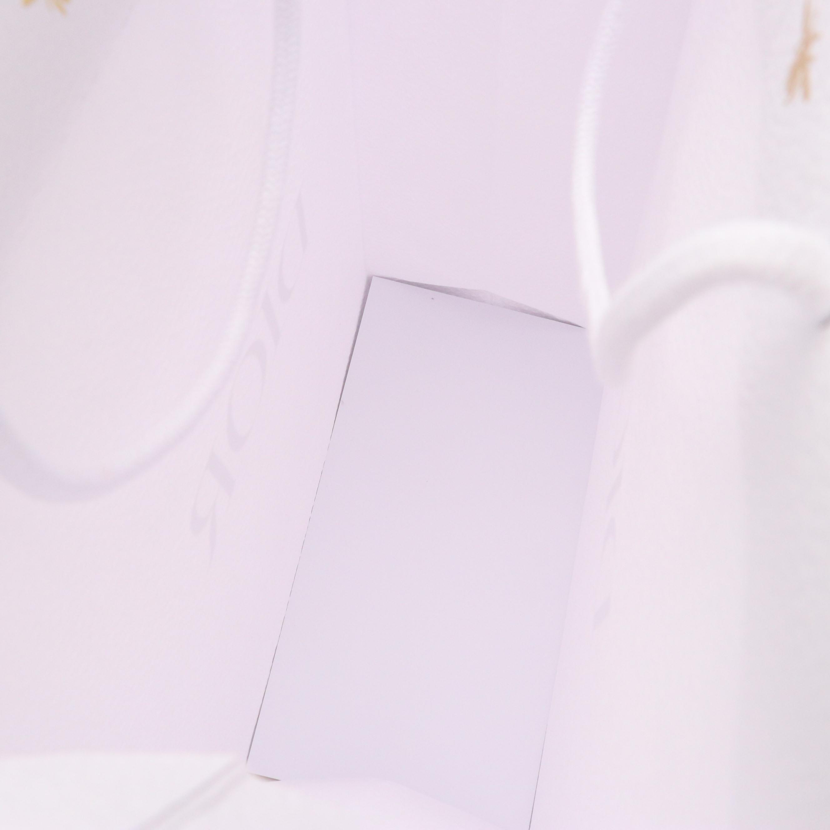 Christian Dior Retail Gift Bags, Folders, Envelopes and Ribbons