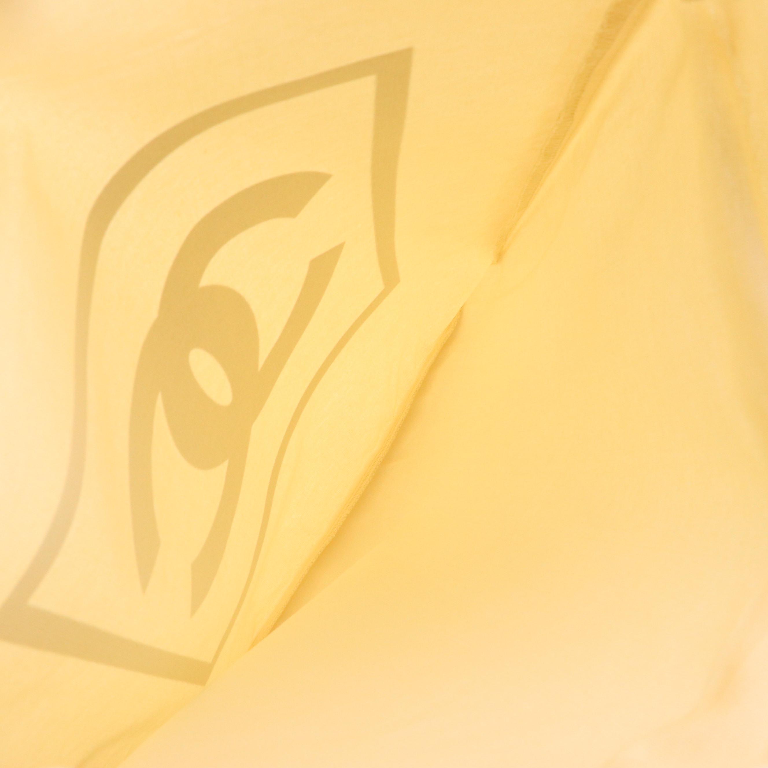 Chanel Makeup Drawstring CC Logo Backpack in Cotton Canvas