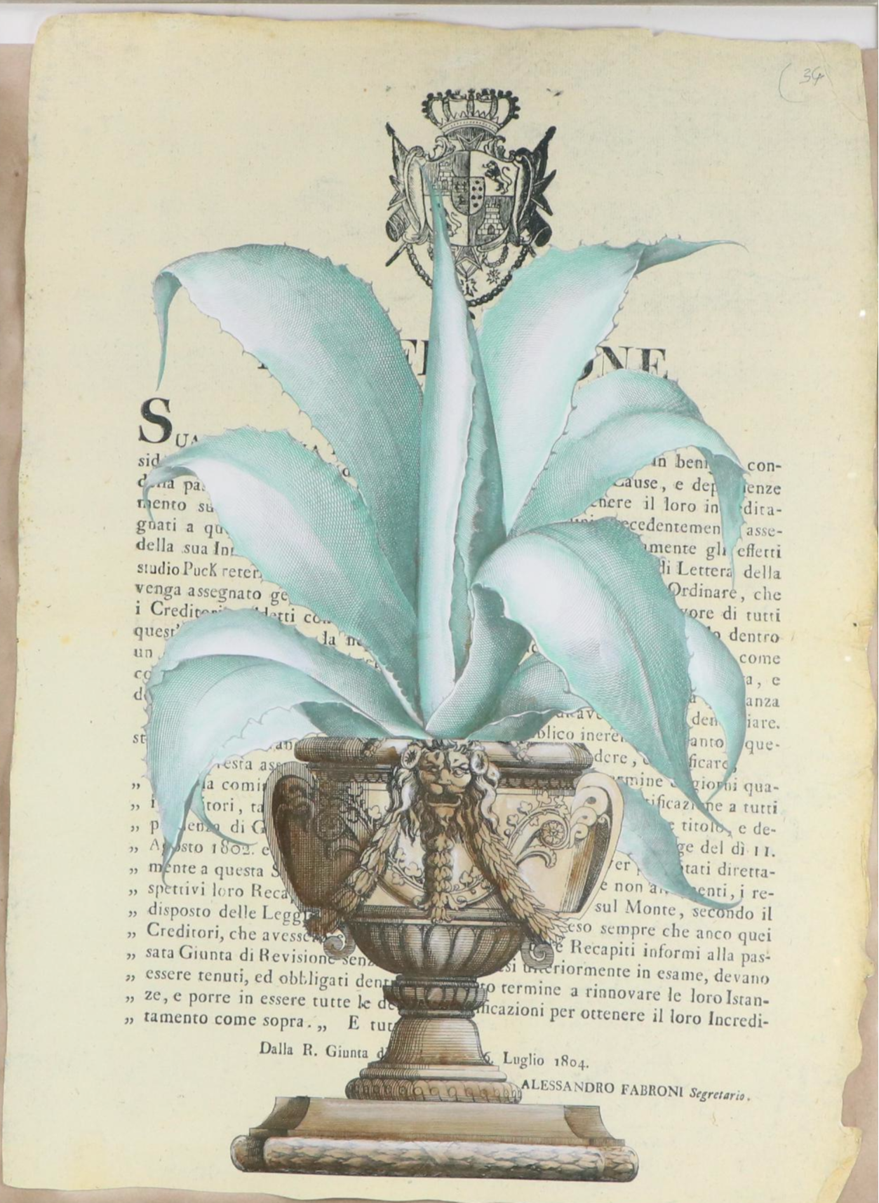 Pair of Large-Scale Italian School Style Botanical Giclées