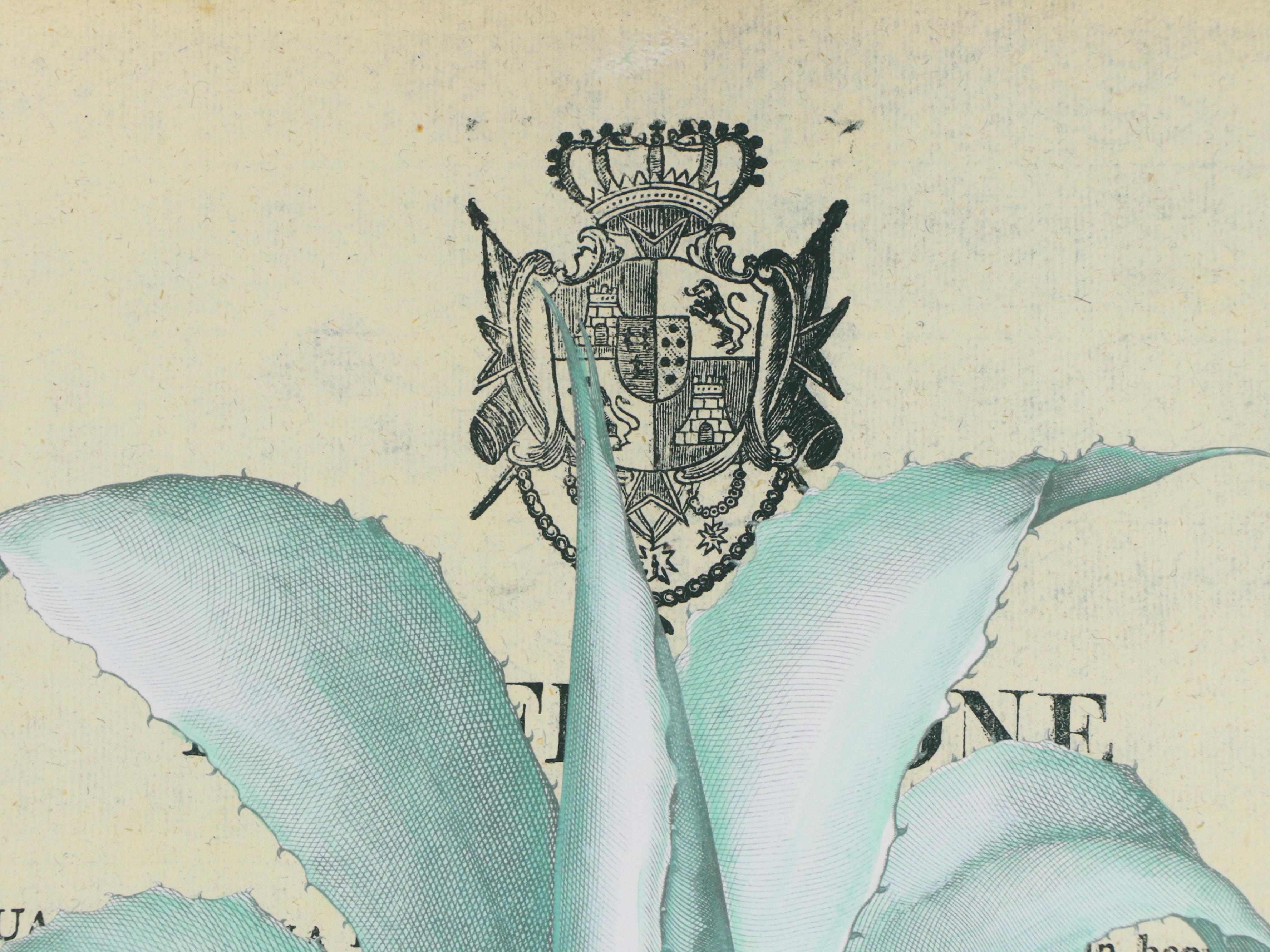 Pair of Large-Scale Italian School Style Botanical Giclées