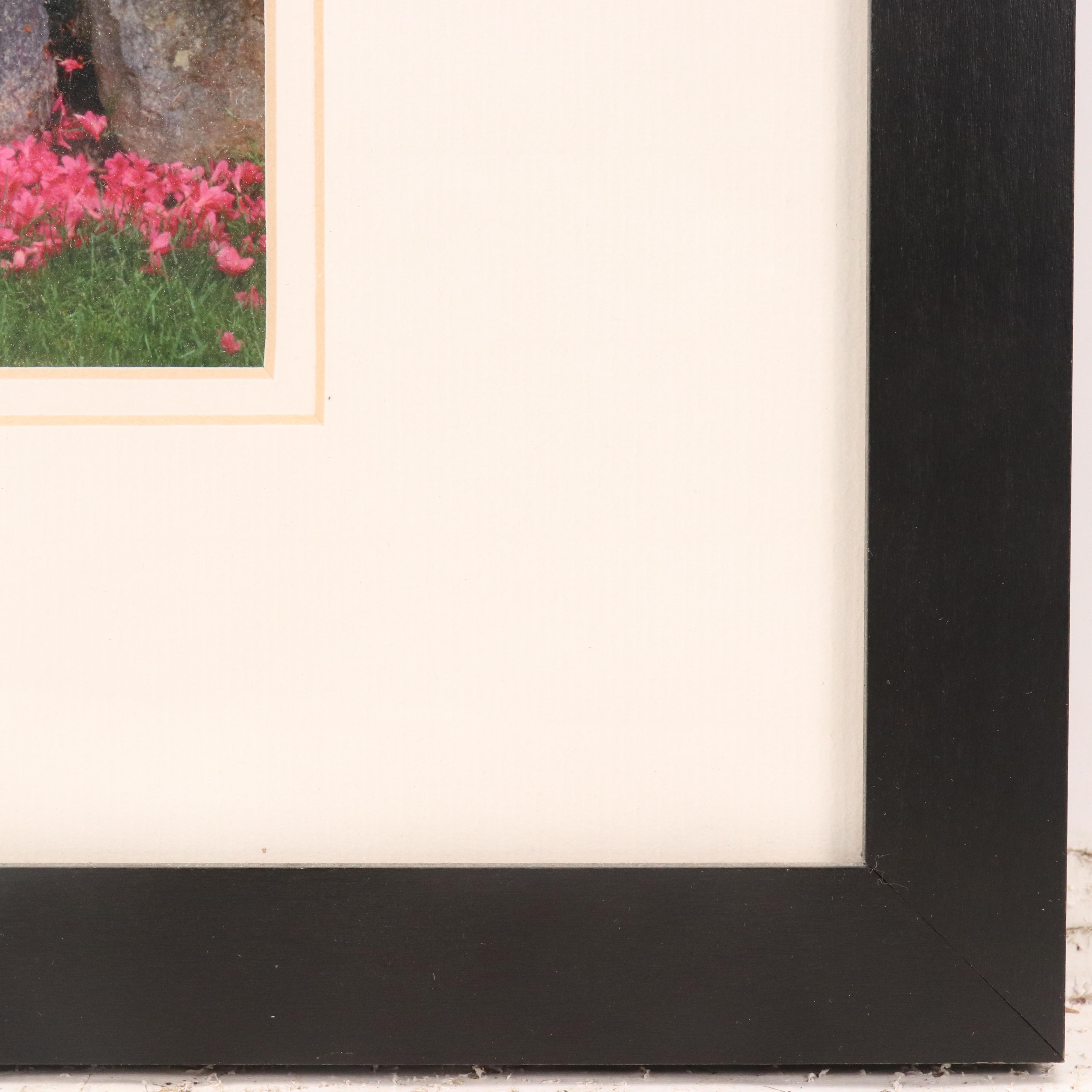 Chromogenic Print of D.C. Japanese Garden Rock Wall, Azaleas & Ferns