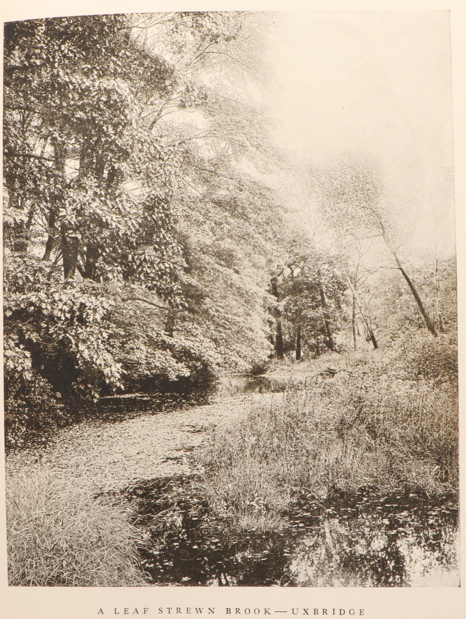 "Massachusetts Beautiful" and "New Hampshire Beautiful" by Wallace Nutting, 1923