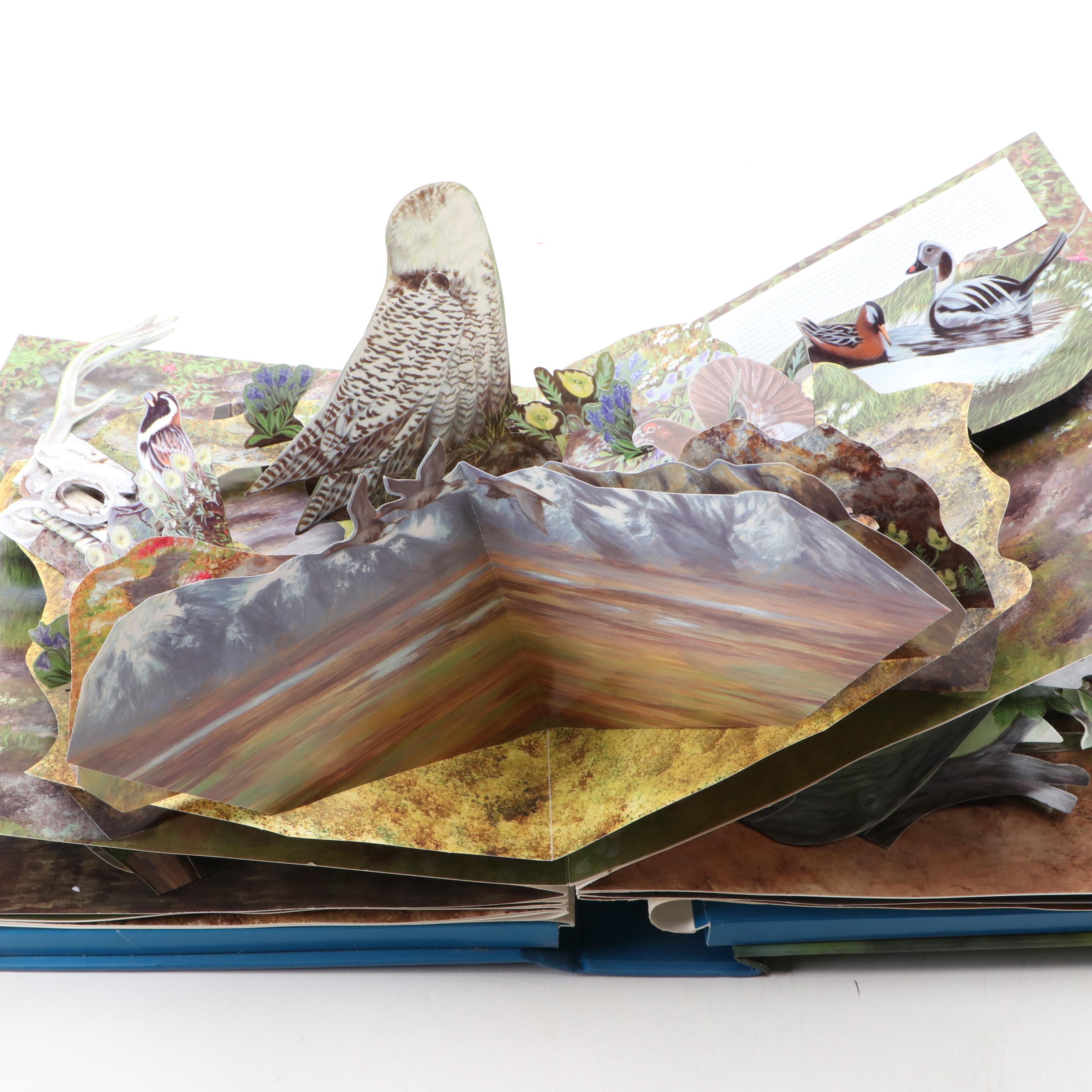 First Edition "Birdscapes: A Pop-Up Celebration of Bird Songs" by Miyoko Chu