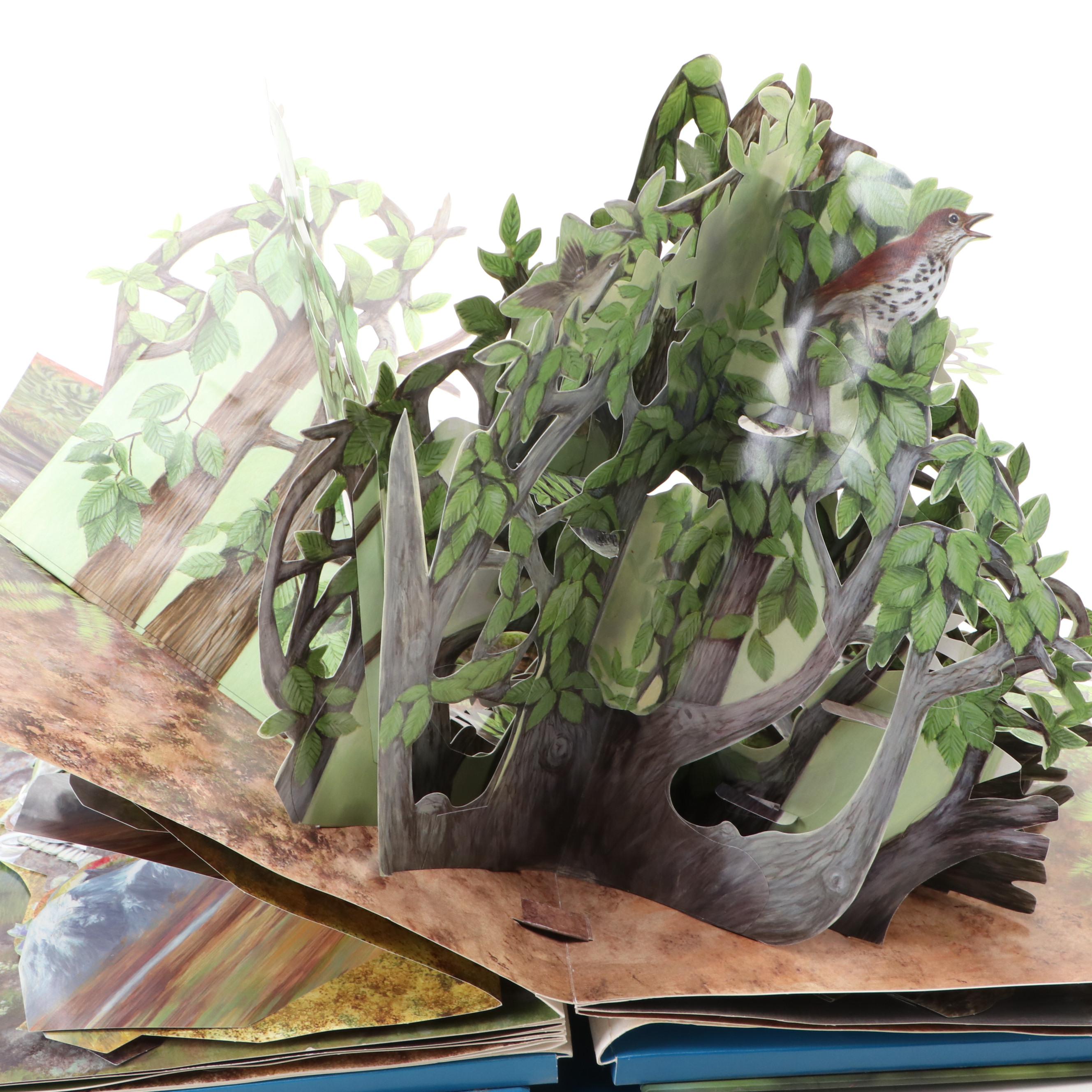 First Edition "Birdscapes: A Pop-Up Celebration of Bird Songs" by Miyoko Chu