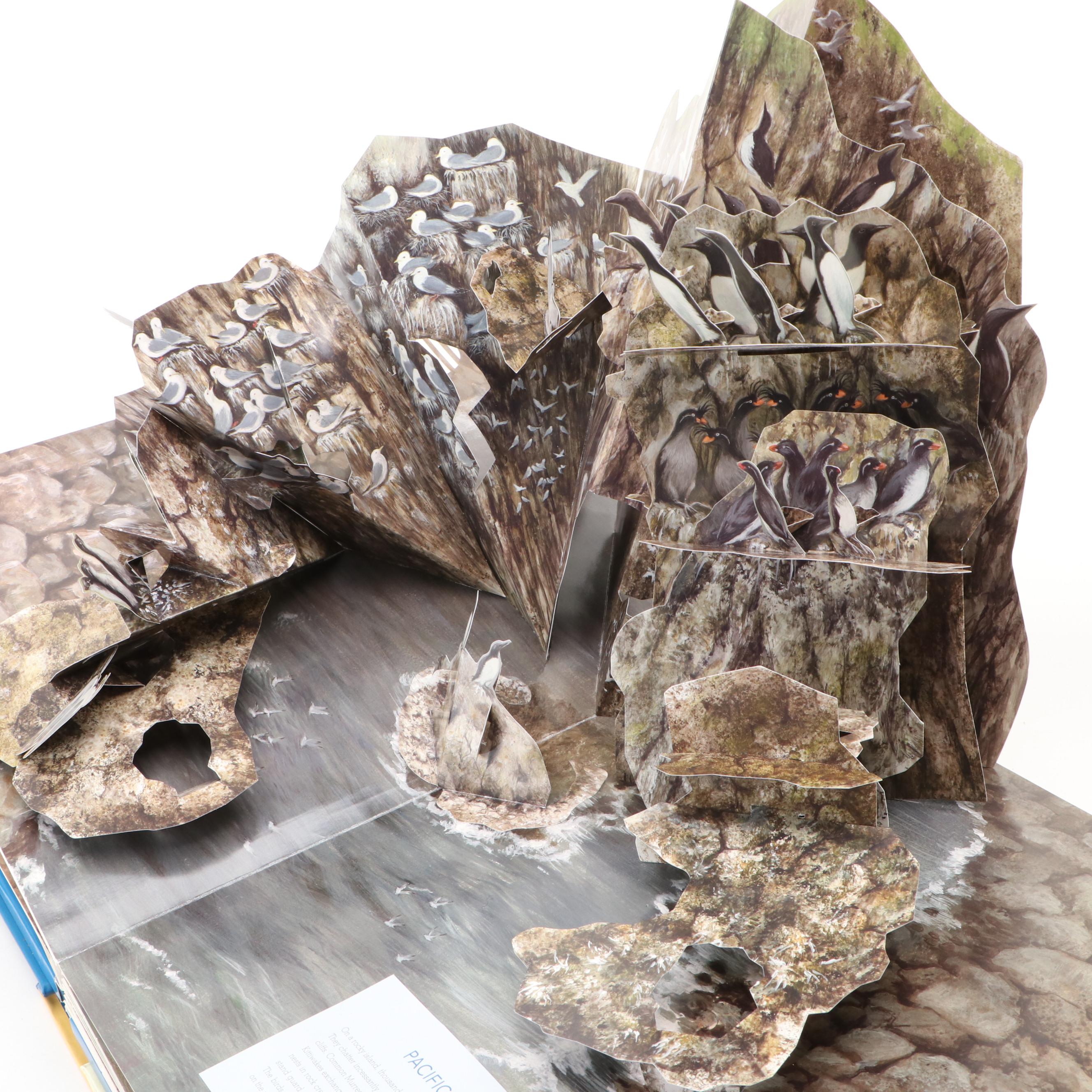 First Edition "Birdscapes: A Pop-Up Celebration of Bird Songs" by Miyoko Chu