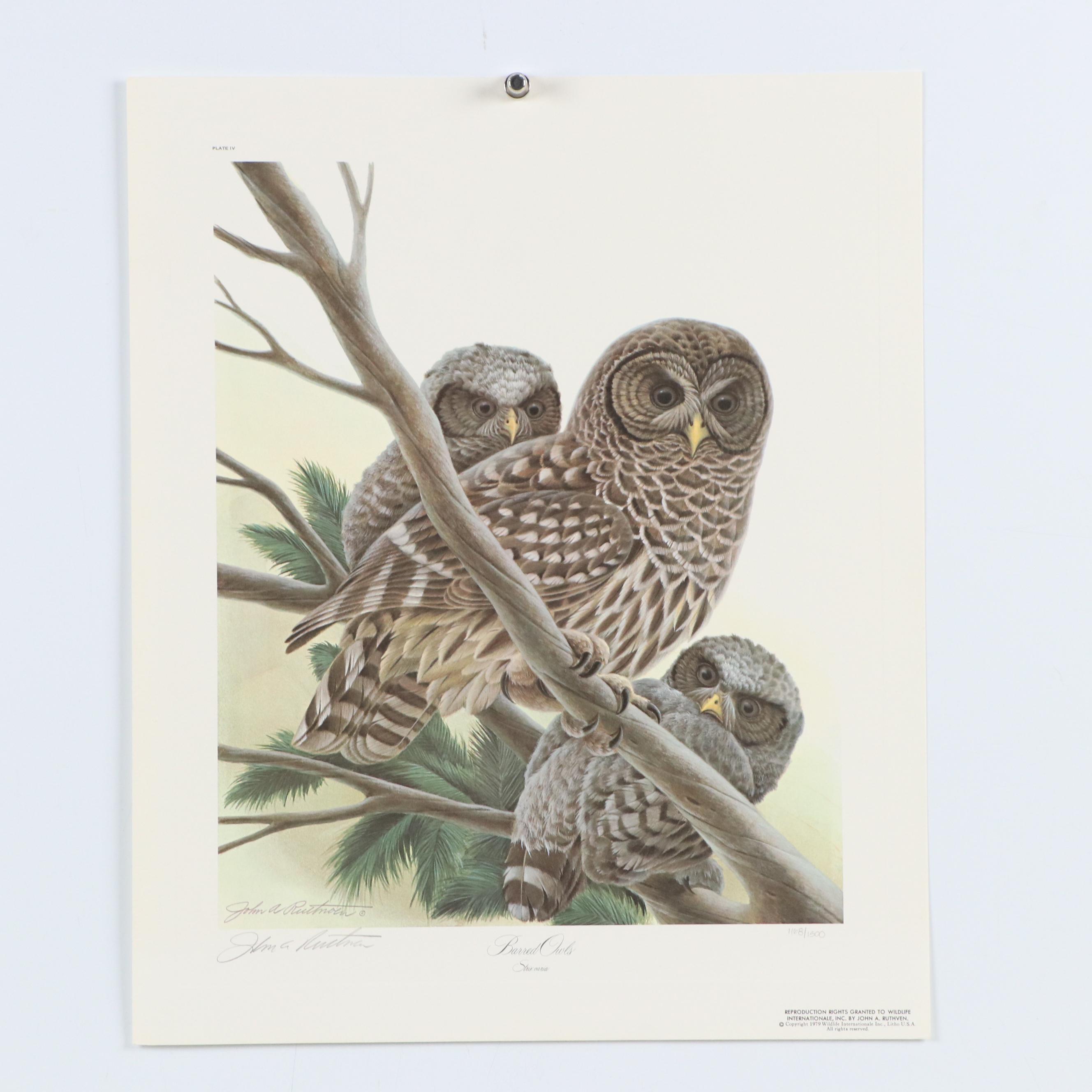 John Ruthven Offset Lithograph "California Valley Quail" and More