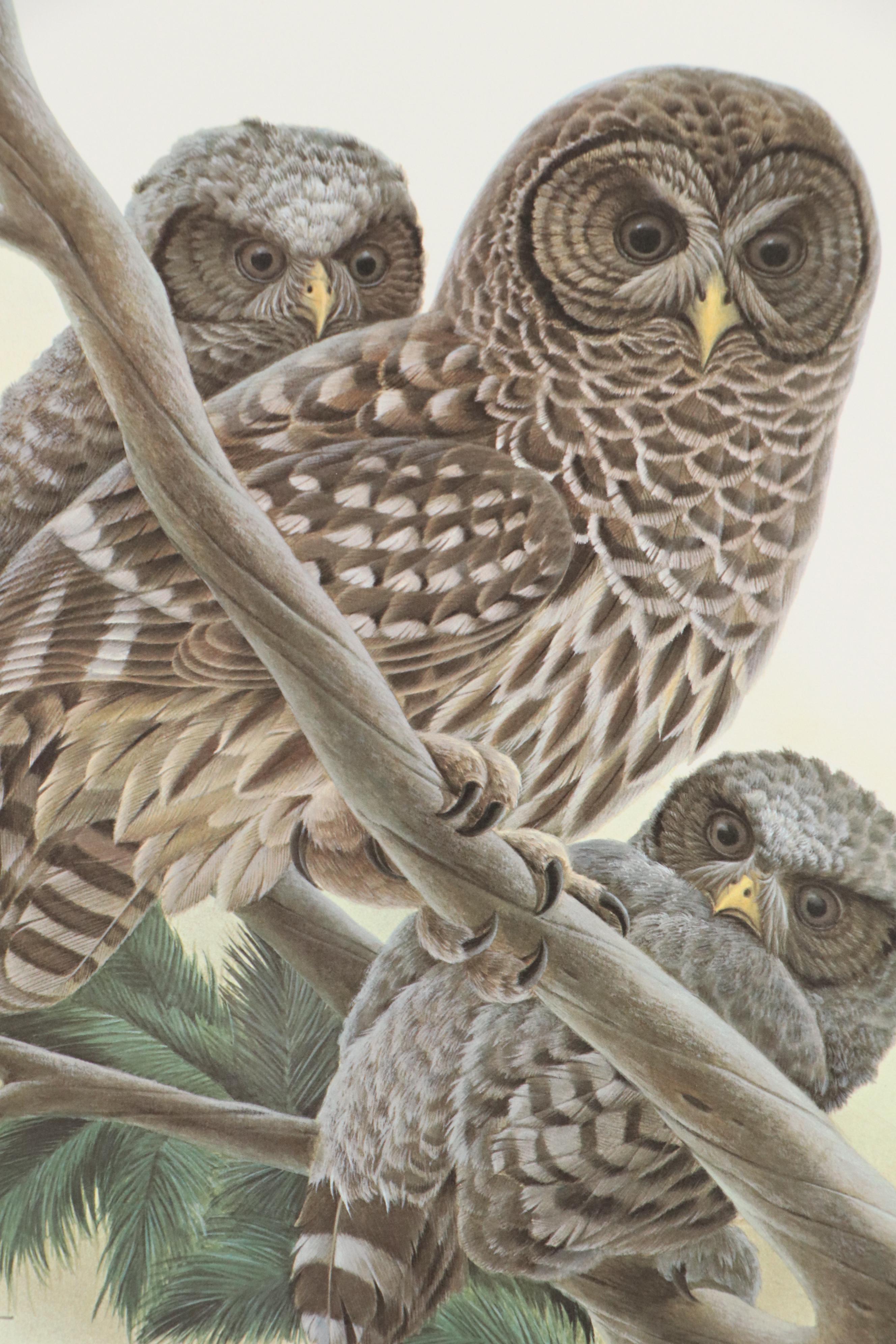 John Ruthven Offset Lithograph "California Valley Quail" and More