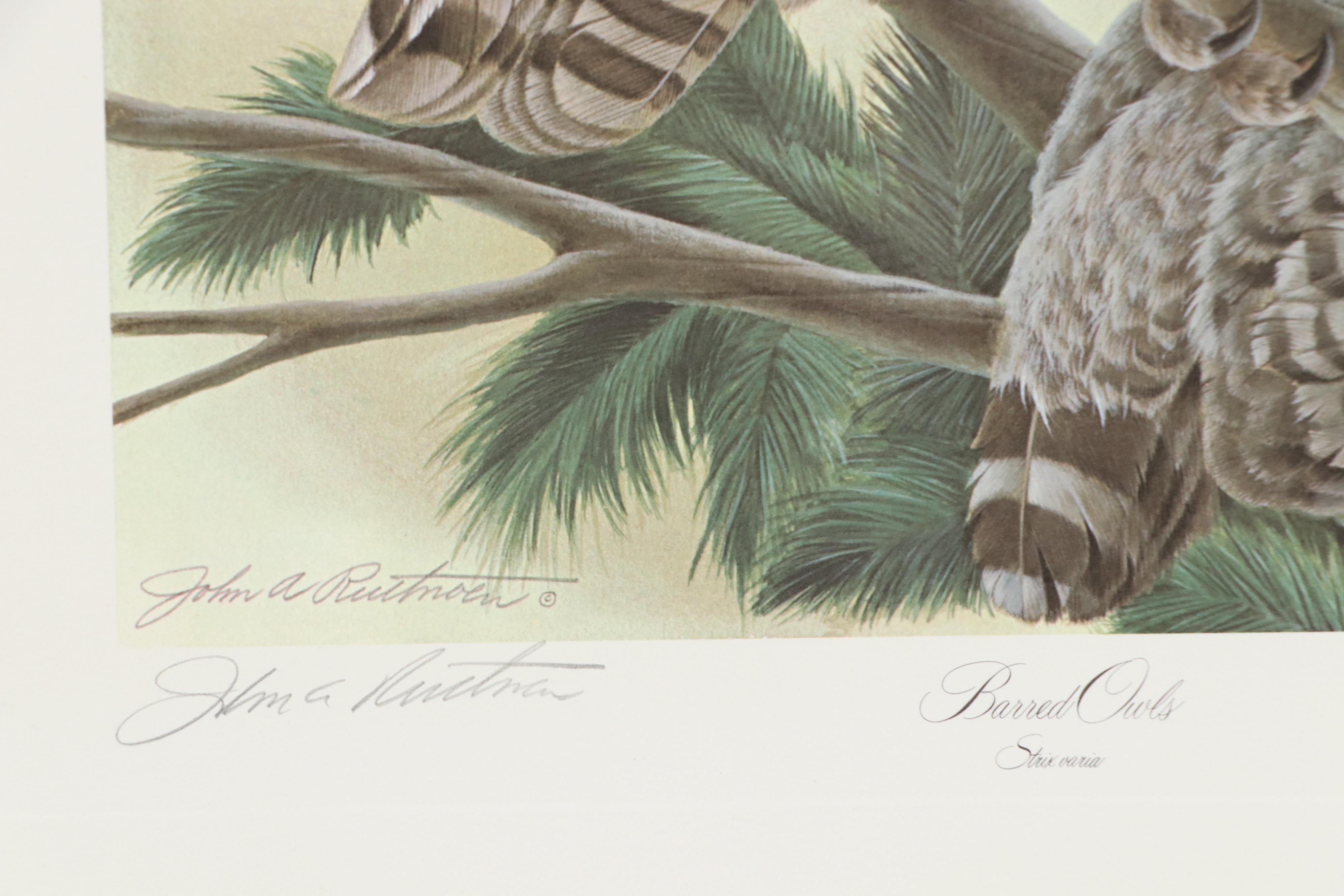 John Ruthven Offset Lithograph "California Valley Quail" and More