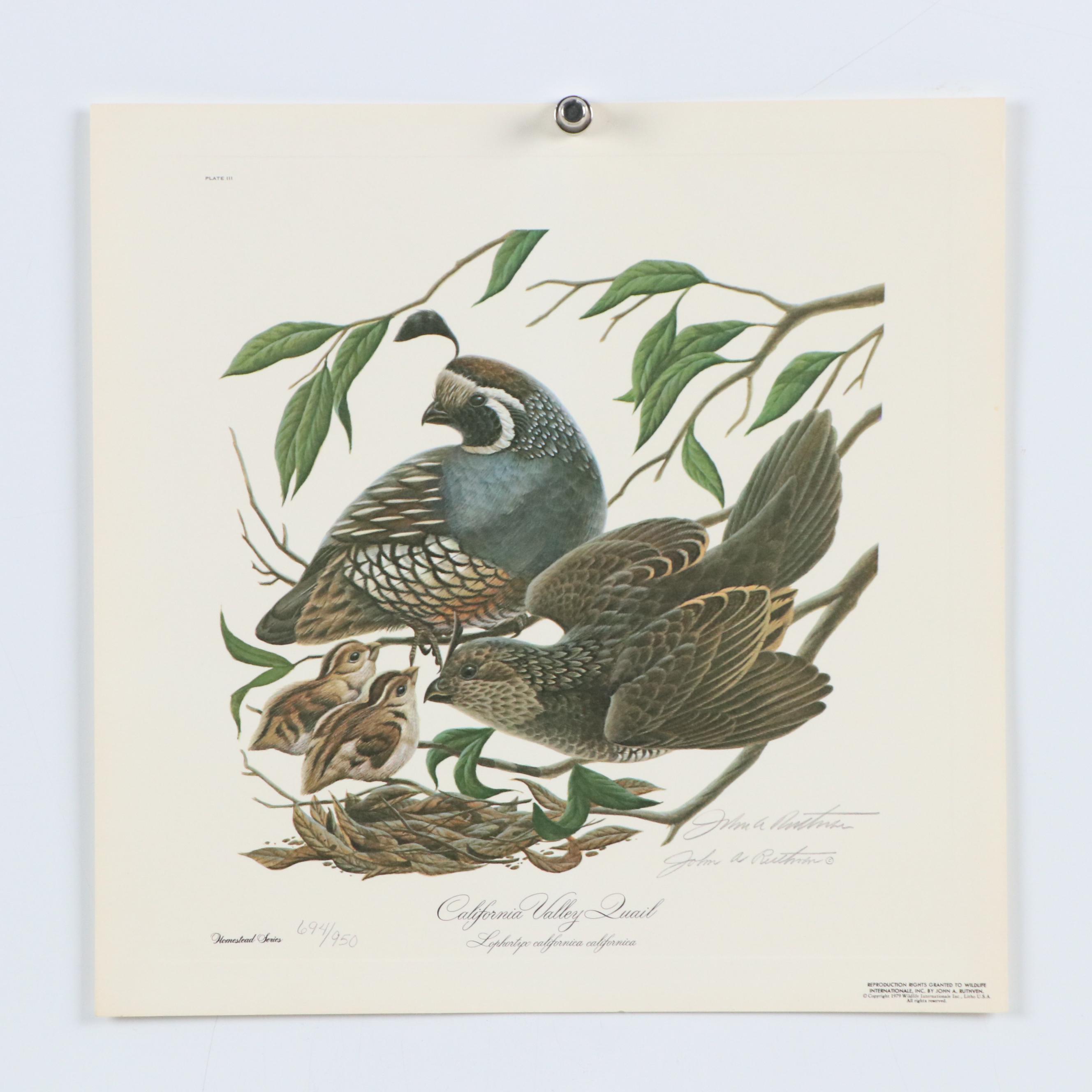John Ruthven Offset Lithograph "California Valley Quail" and More