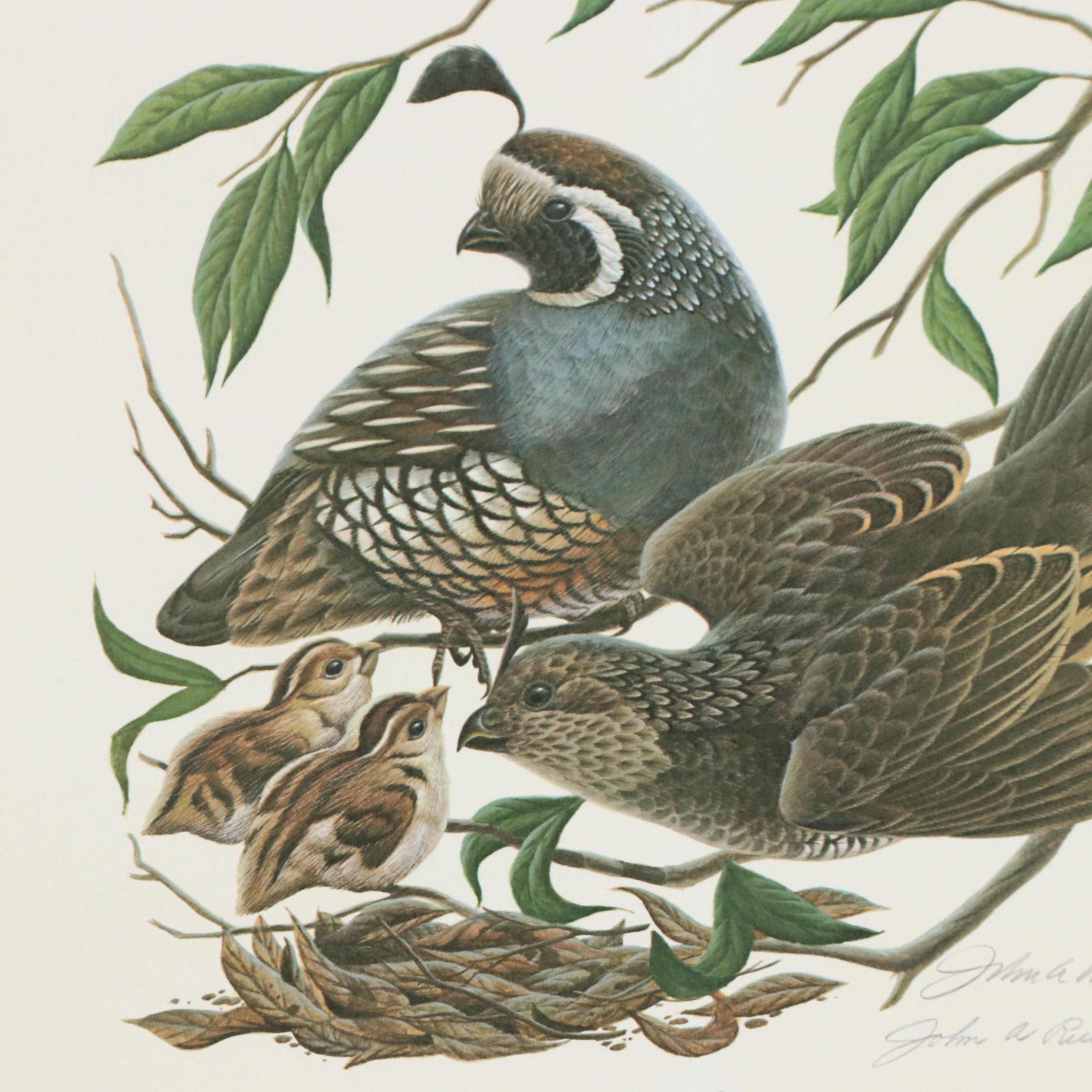 John Ruthven Offset Lithograph "California Valley Quail" and More