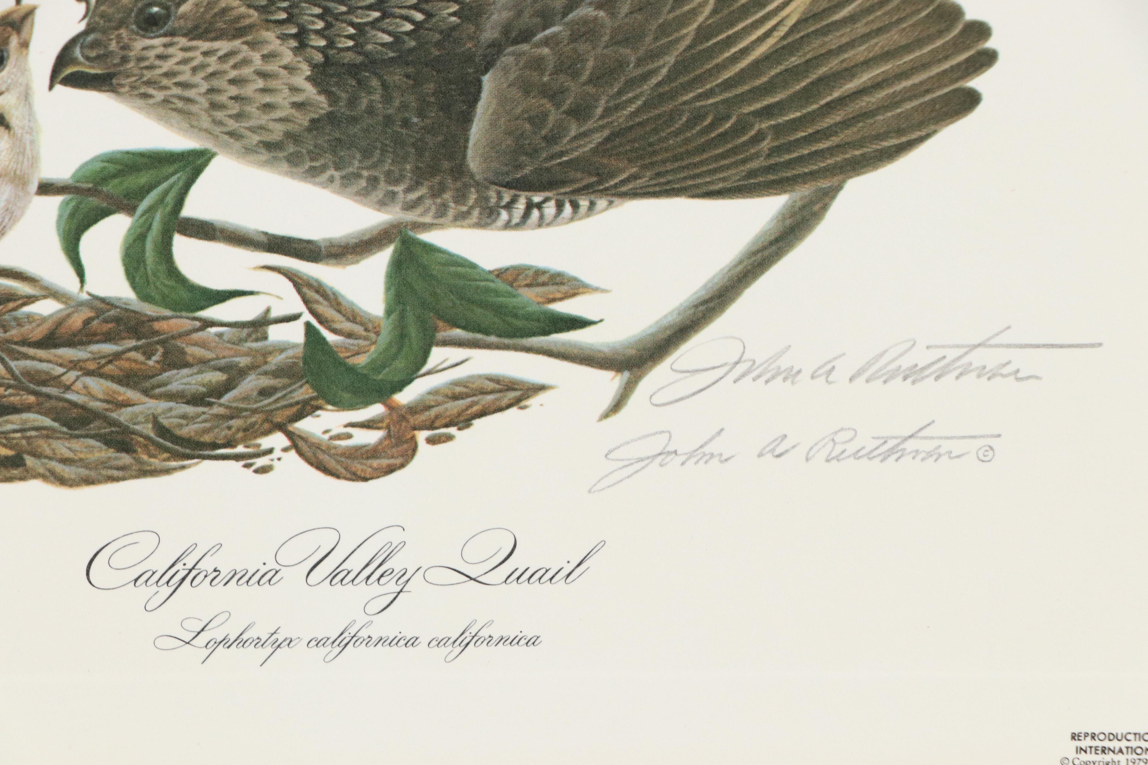 John Ruthven Offset Lithograph "California Valley Quail" and More