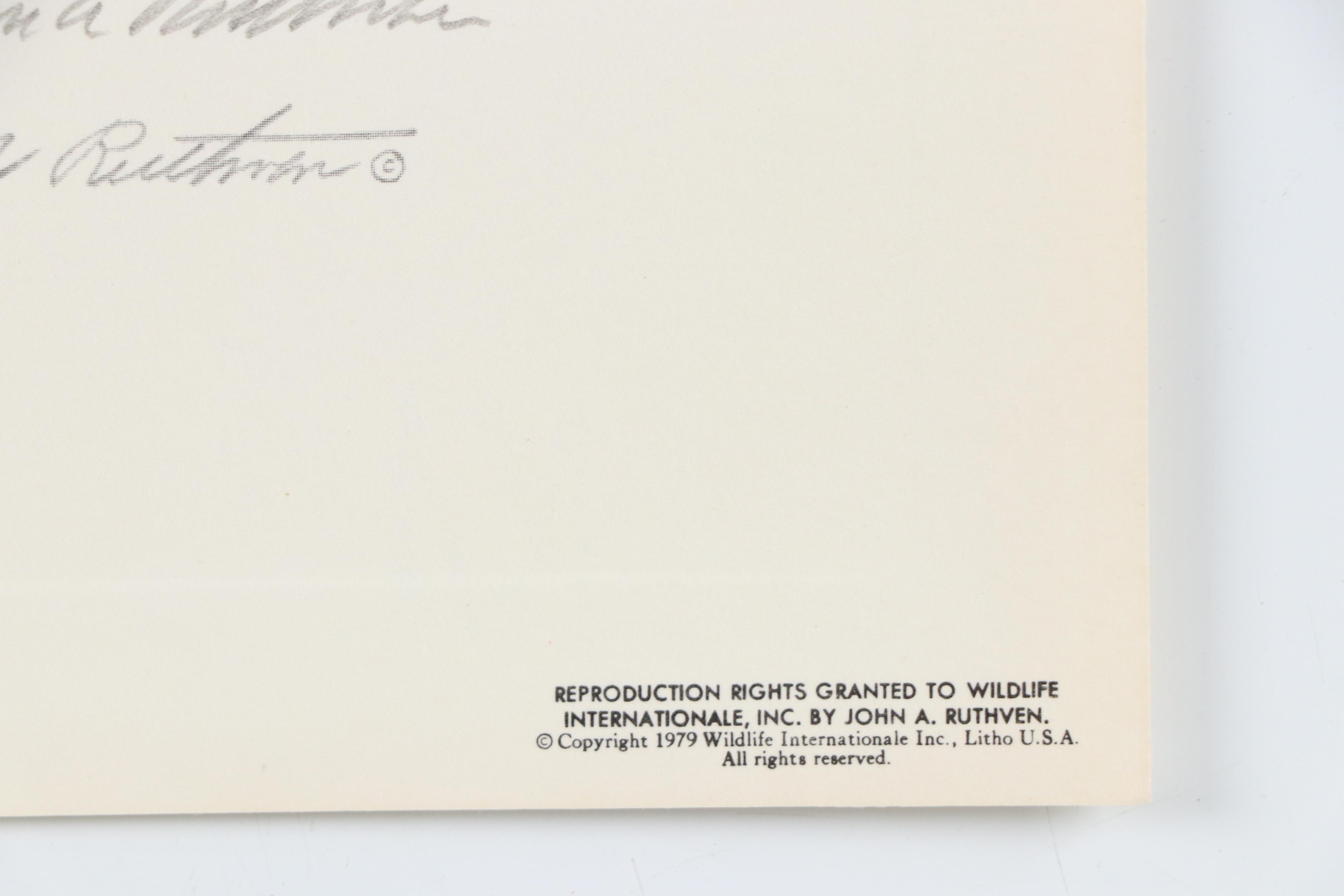 John Ruthven Offset Lithograph "California Valley Quail" and More