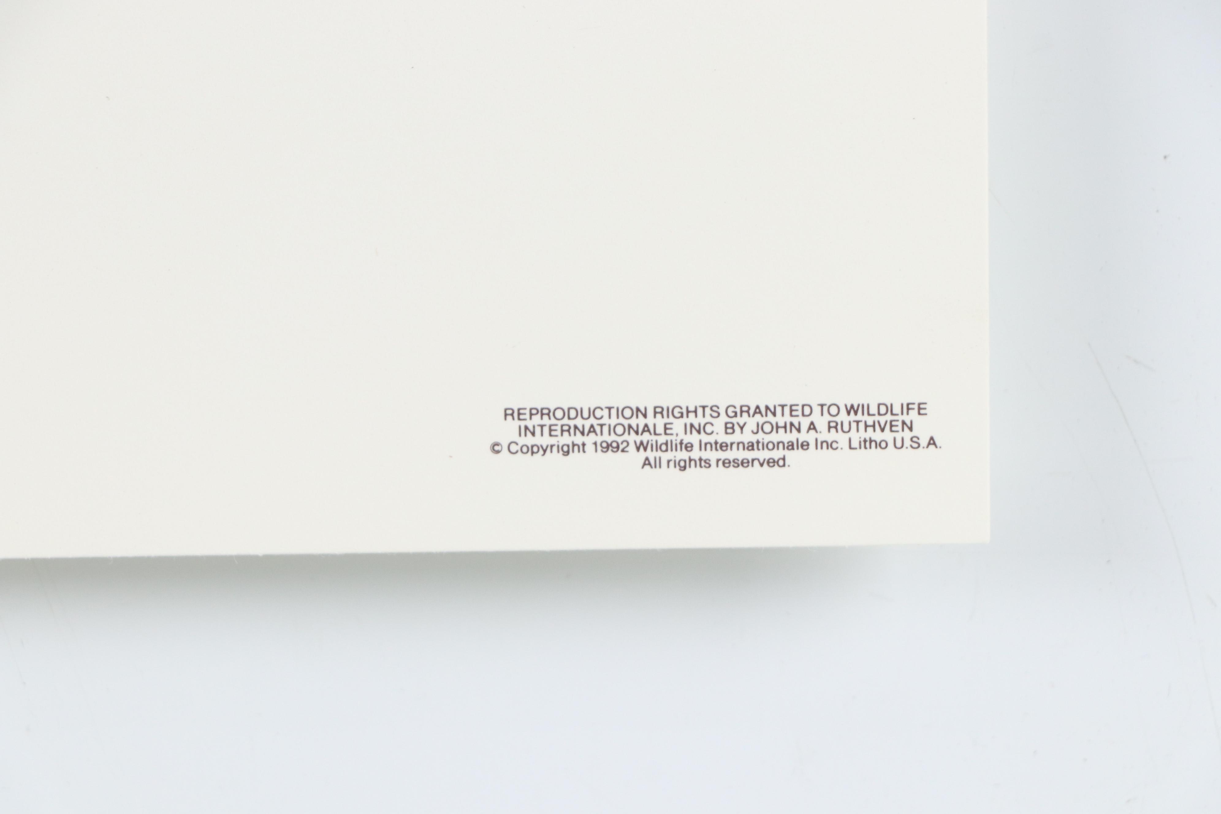 John Ruthven Offset Lithograph "California Valley Quail" and More