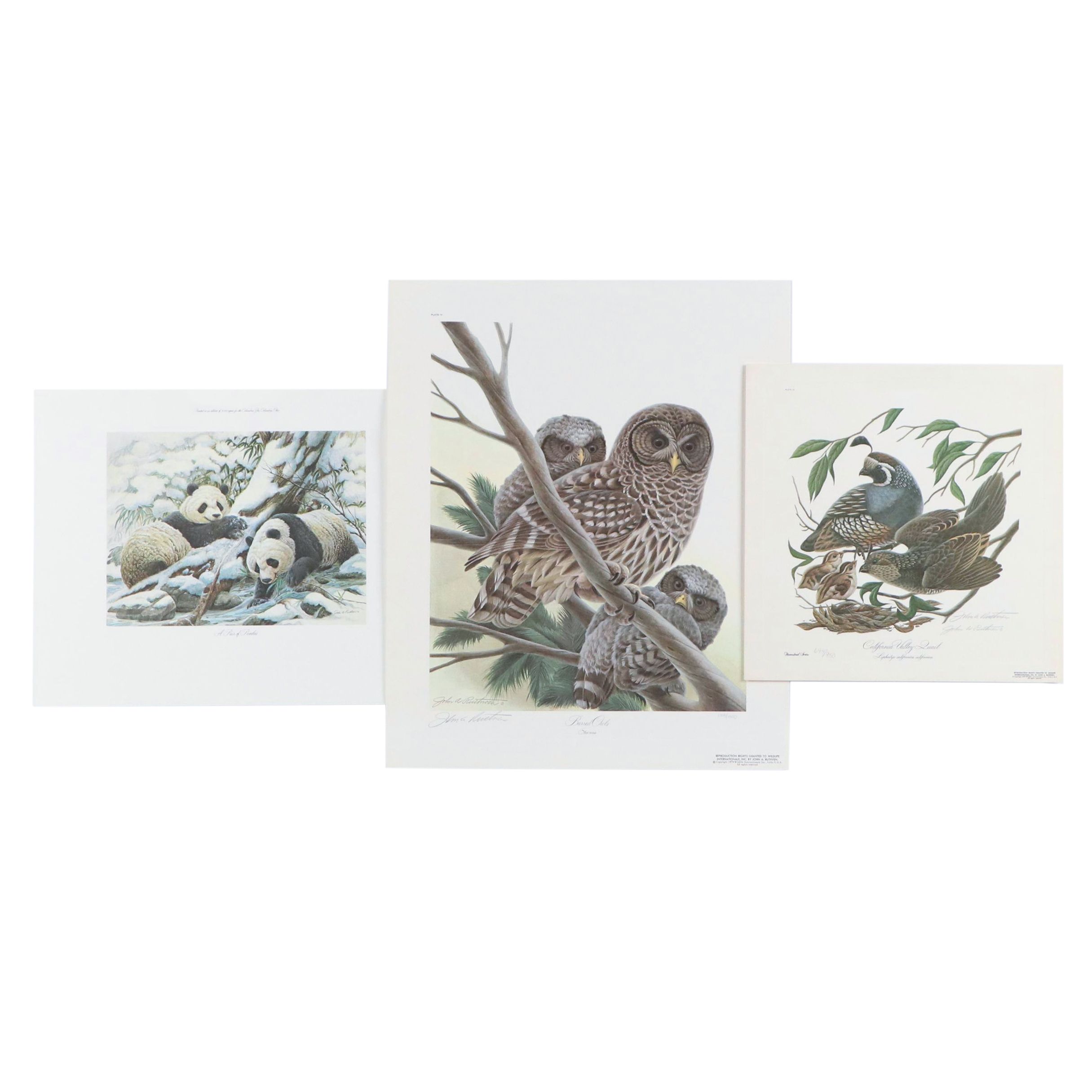 John Ruthven Offset Lithograph "California Valley Quail" and More
