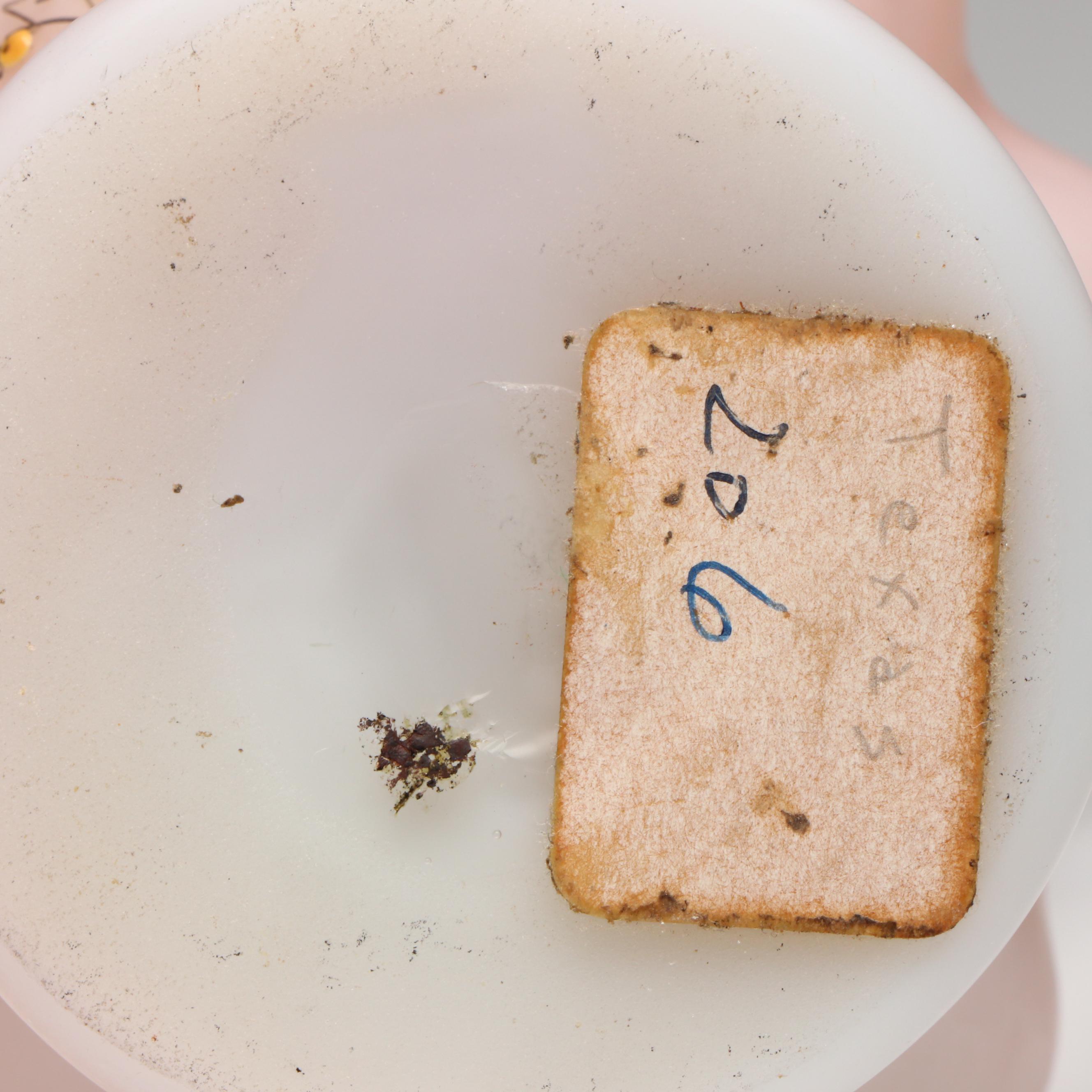 Pair of Floral Satin Glass Ewers with Ruffled Bridal Bowl, Early 20th Century