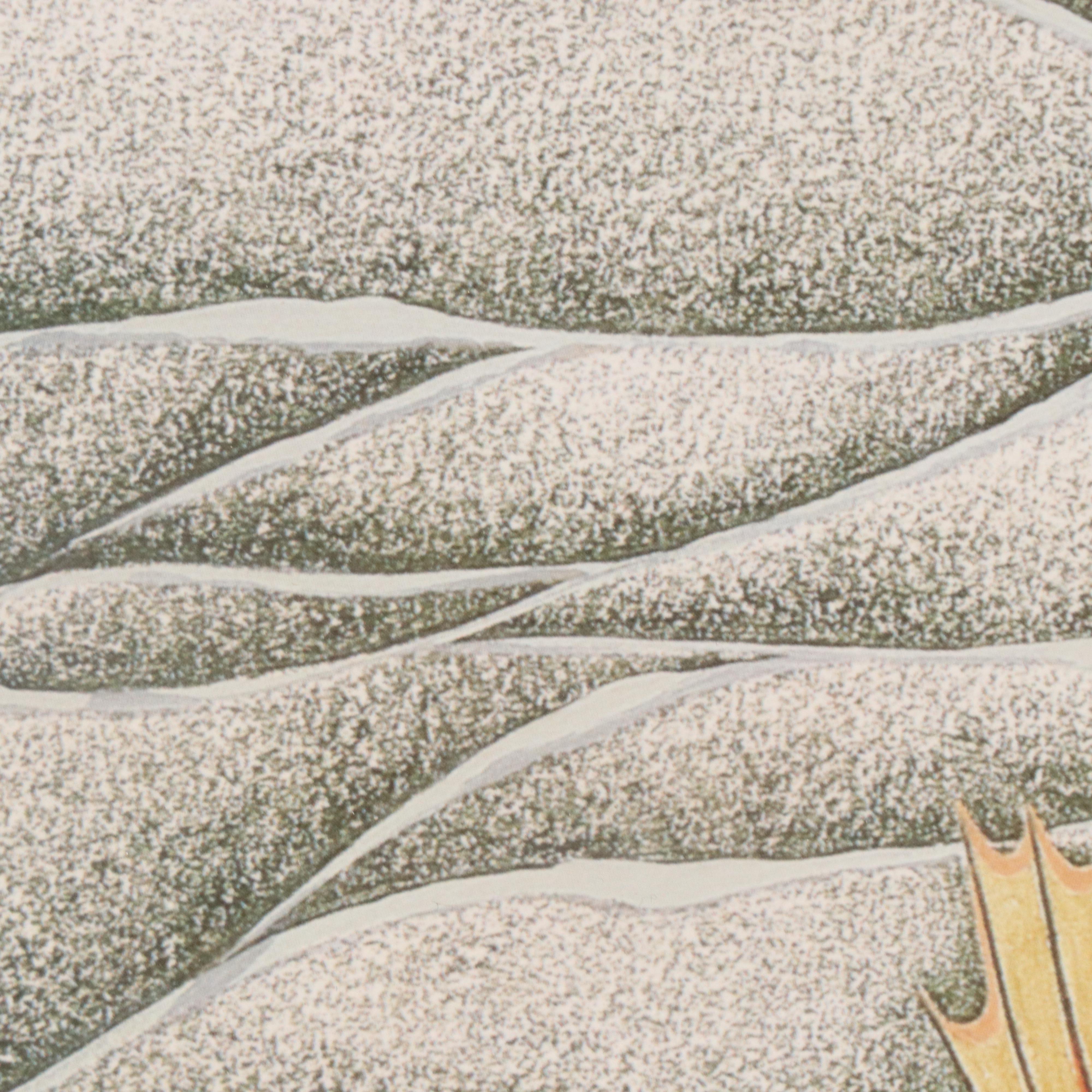 Kim Mosher Offset Lithograph North Carolina State Fish "Hatteras Red Drum"