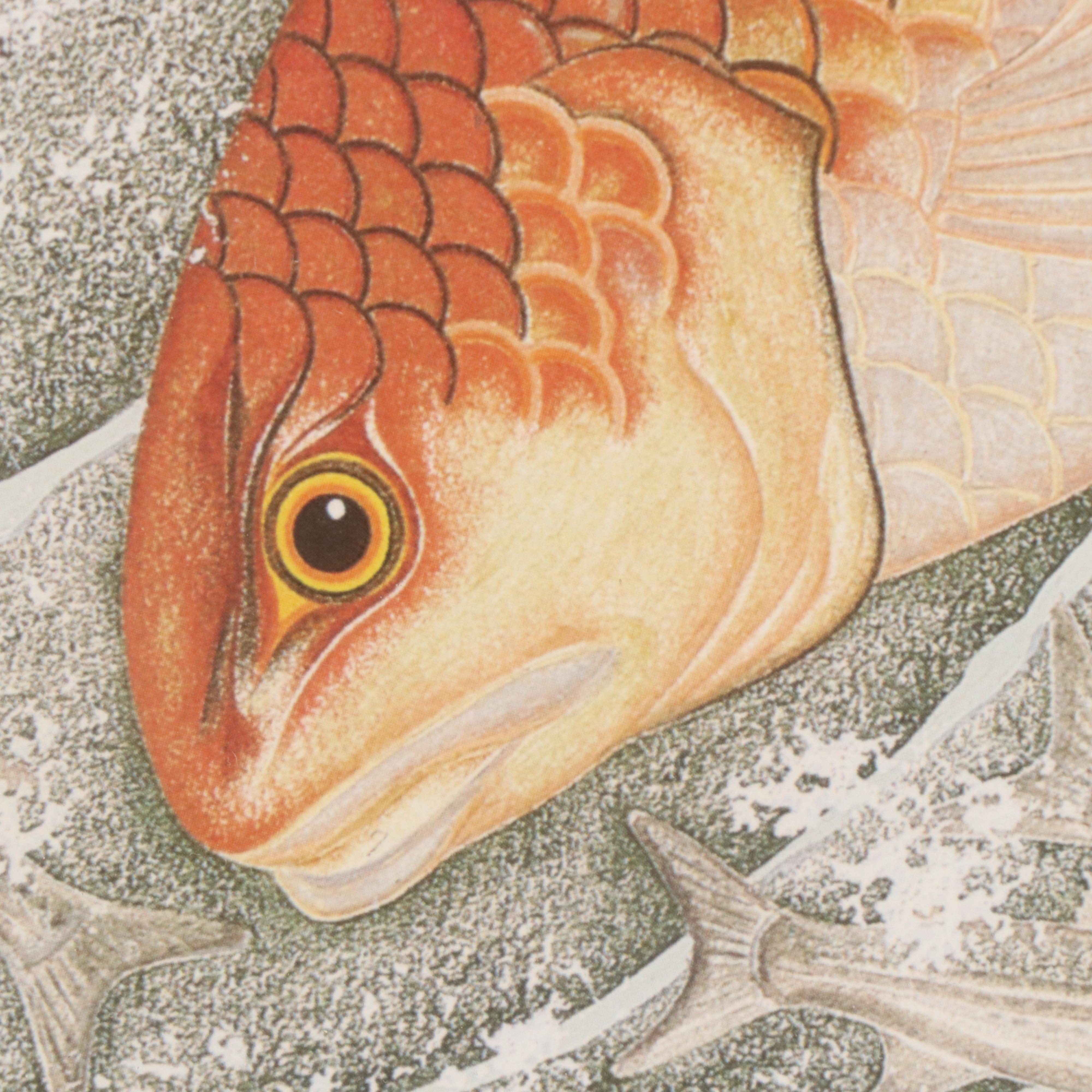 Kim Mosher Offset Lithograph North Carolina State Fish "Hatteras Red Drum"