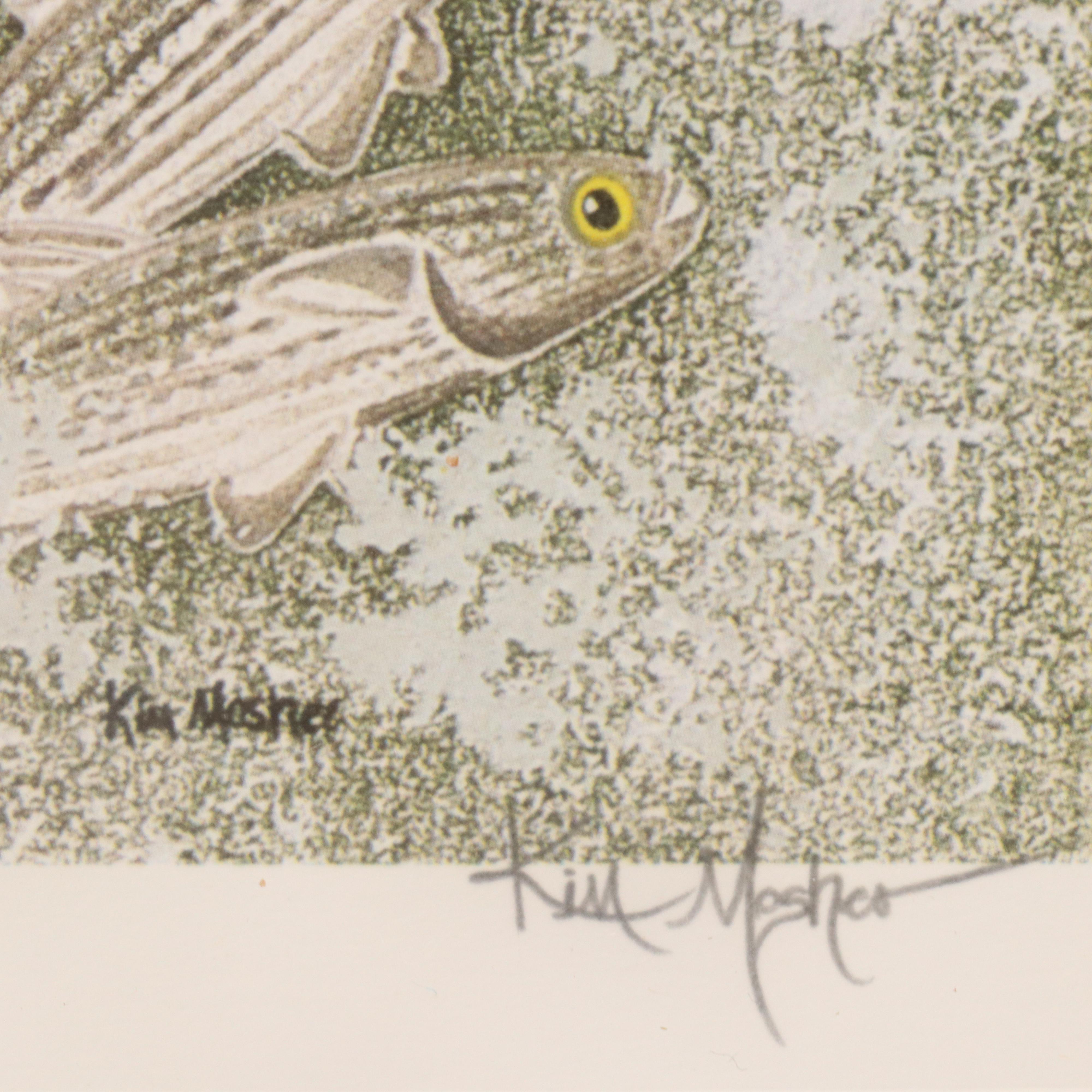 Kim Mosher Offset Lithograph North Carolina State Fish "Hatteras Red Drum"