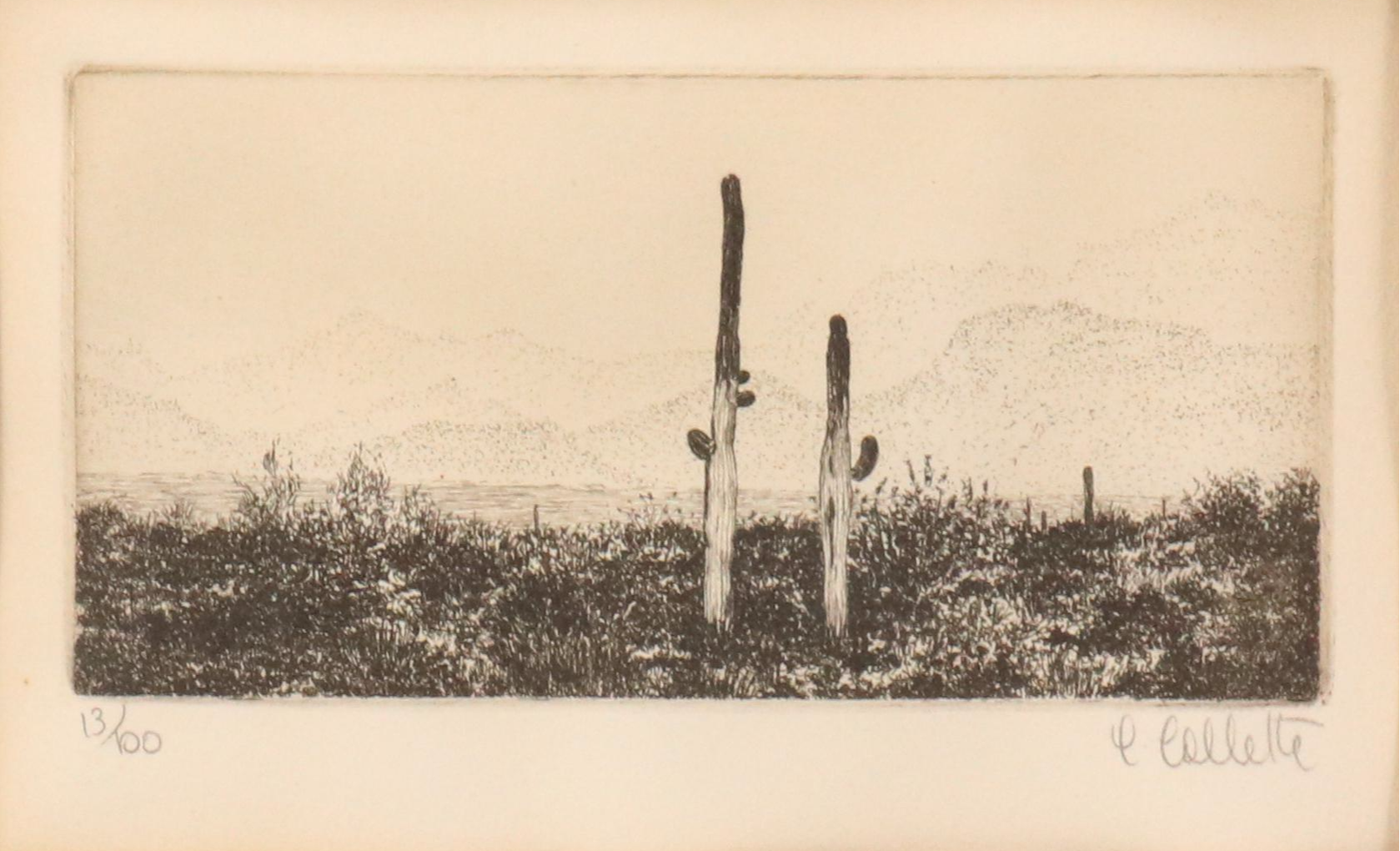 Carol Collette Etching of Desert Scene