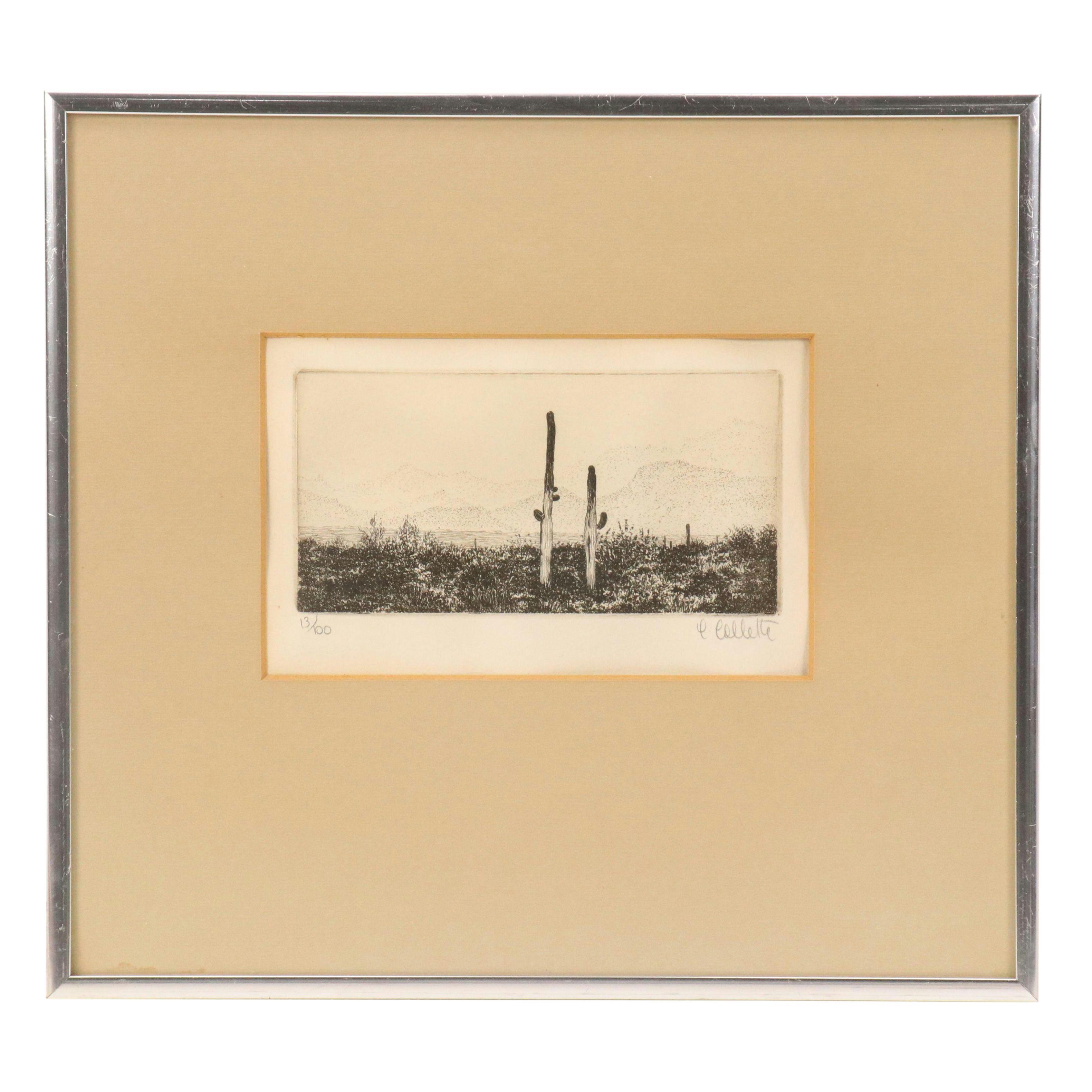 Carol Collette Etching of Desert Scene