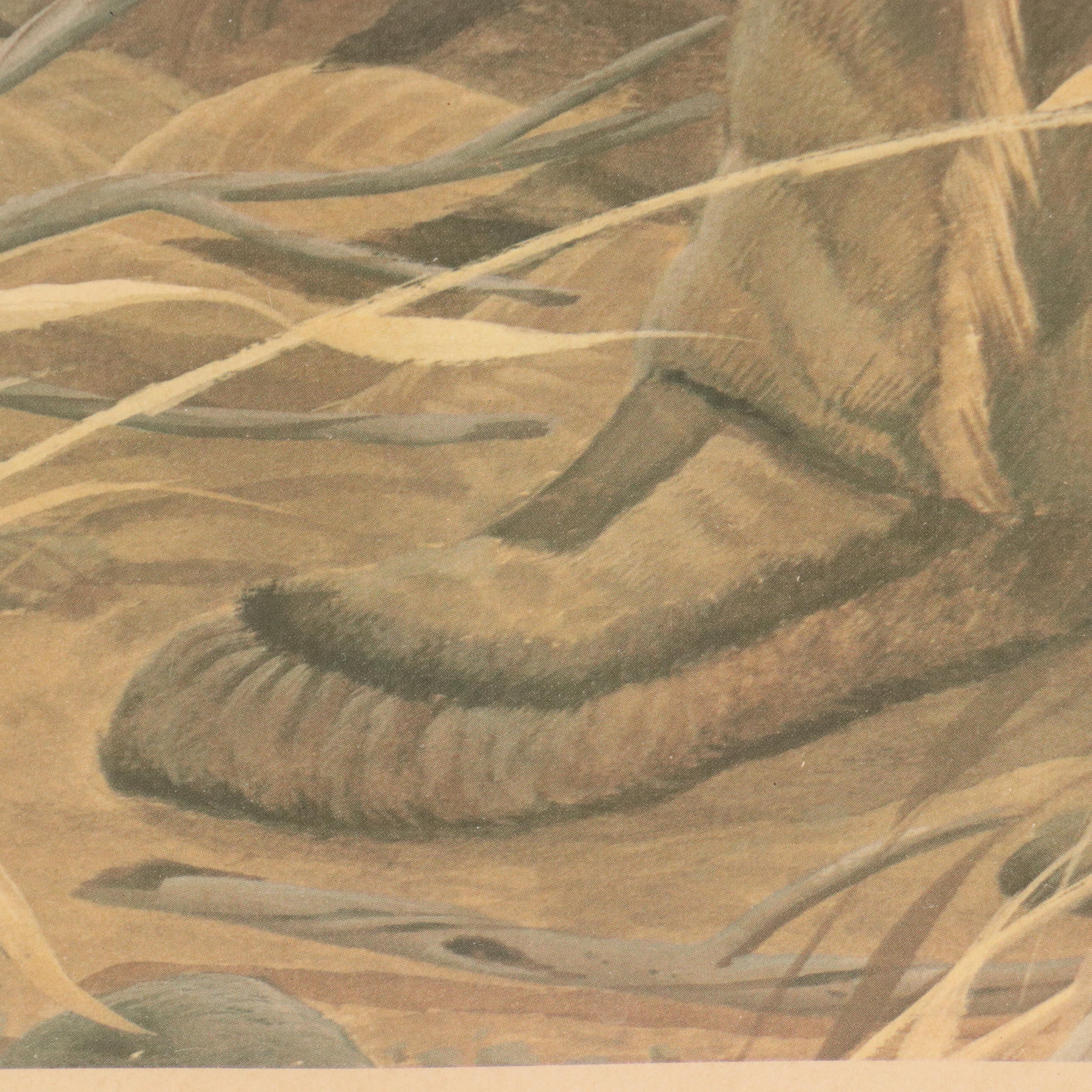 John A. Ruthven Offset Lithograph "Wandering Brave"