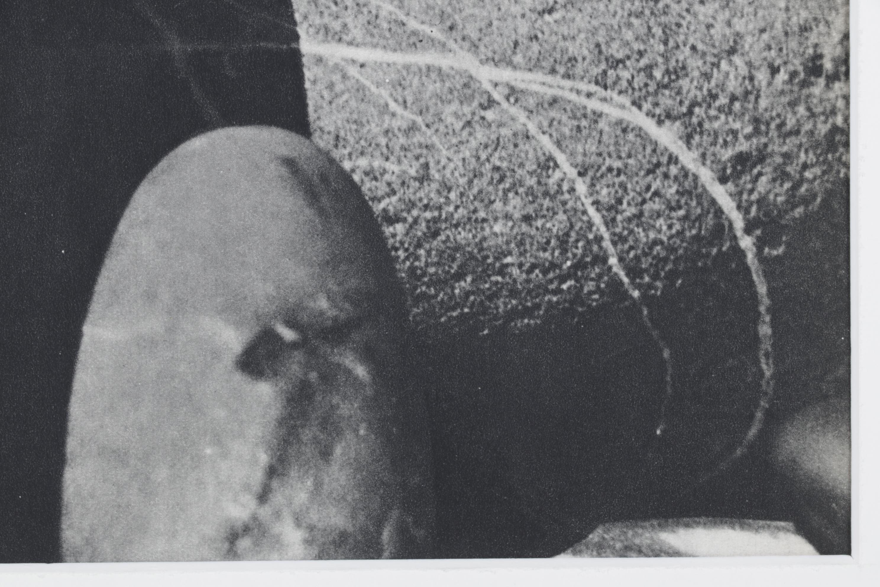 Photolithograph "Rocks Still Life" After Man Ray