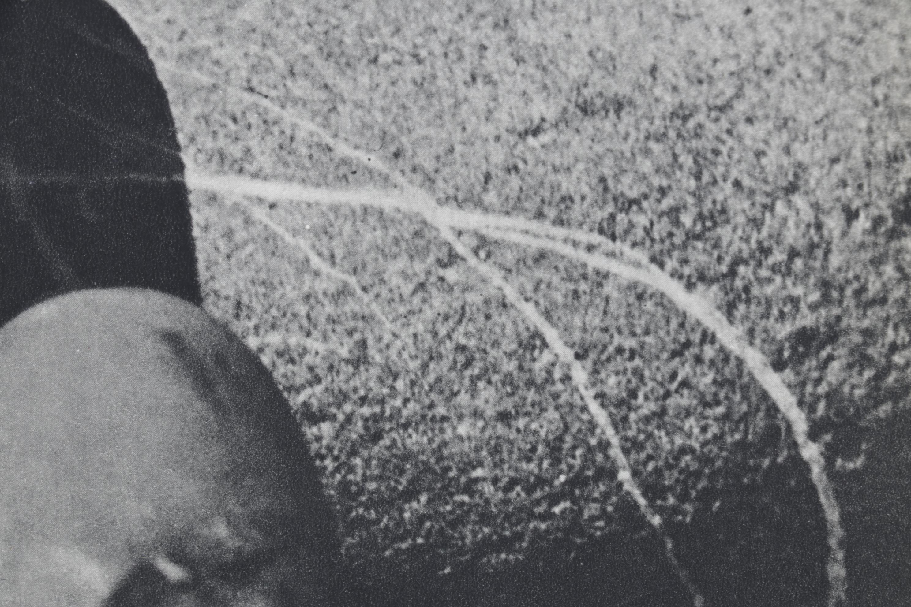 Photolithograph "Rocks Still Life" After Man Ray