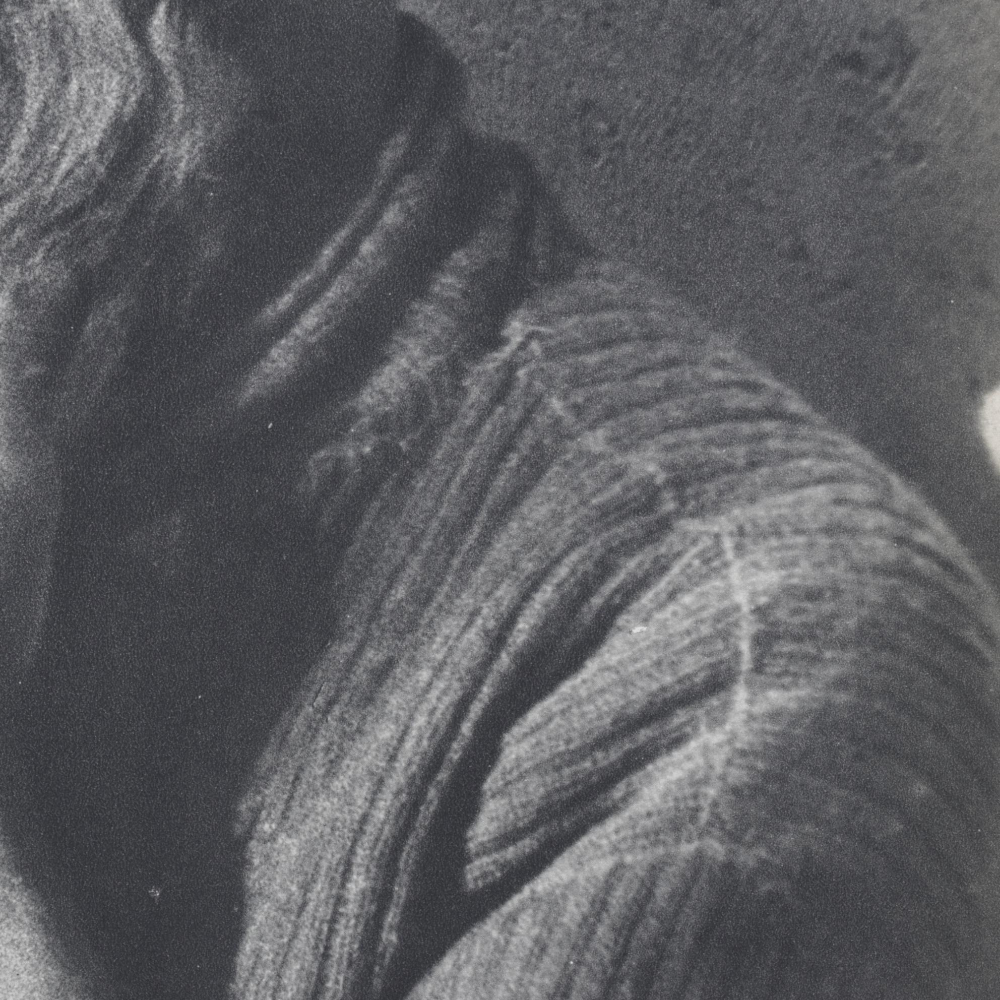 Photolithograph "Portrait of Constantin Brancusi" After Man Ray