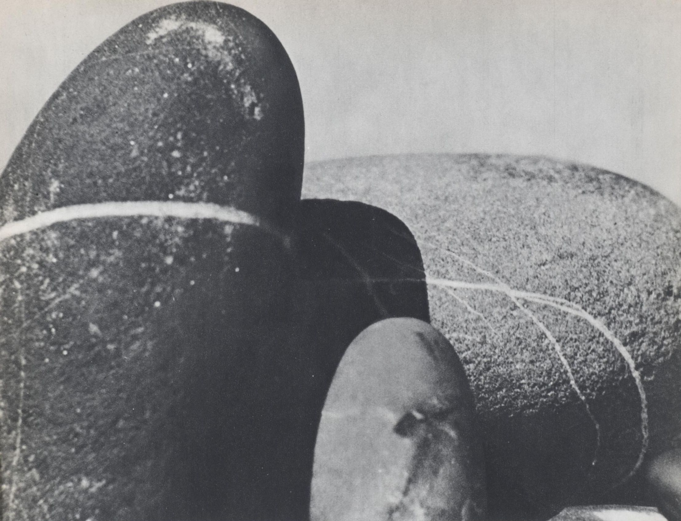 Photolithograph "Rocks Still Life" After Man Ray