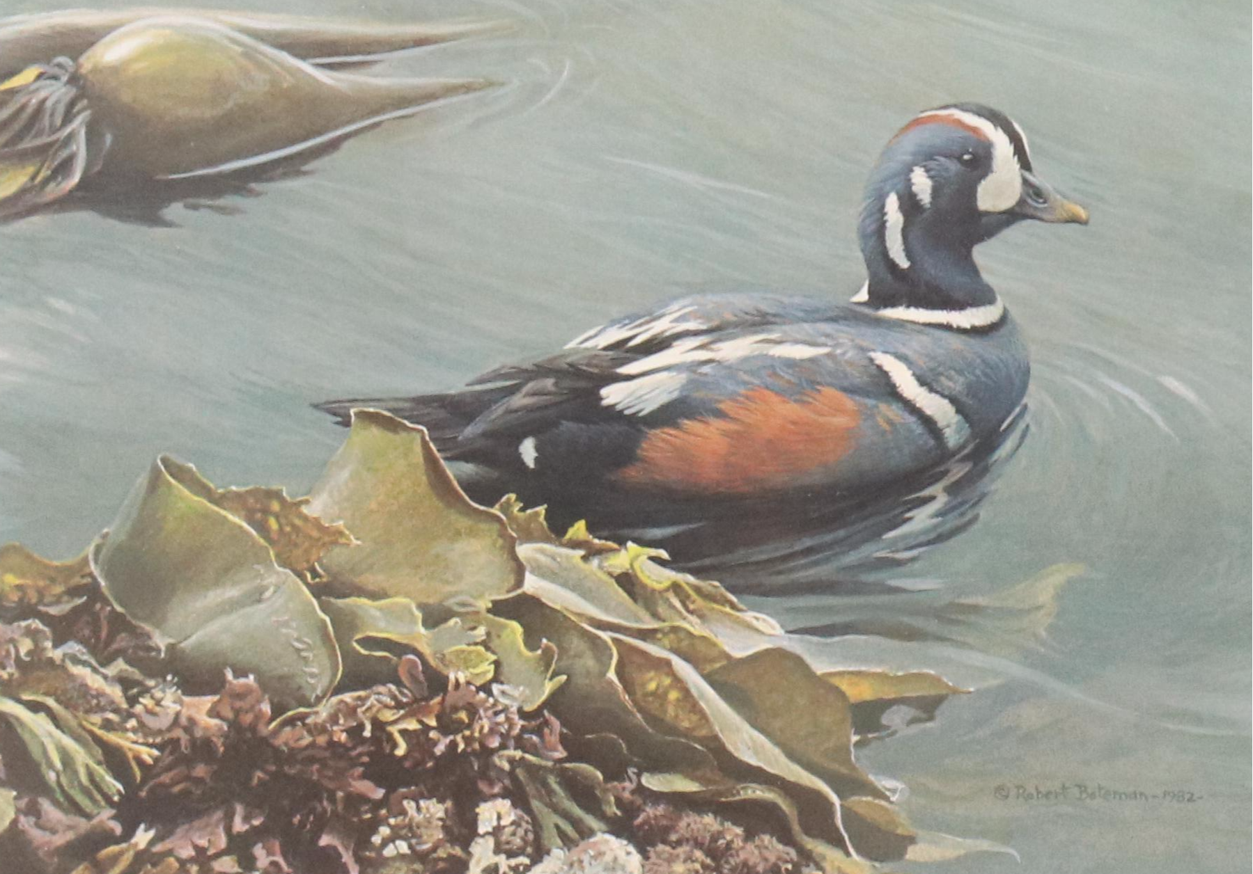 Set of Waterfowl Stamps, Including Washington Migratory Waterfowl, 1988