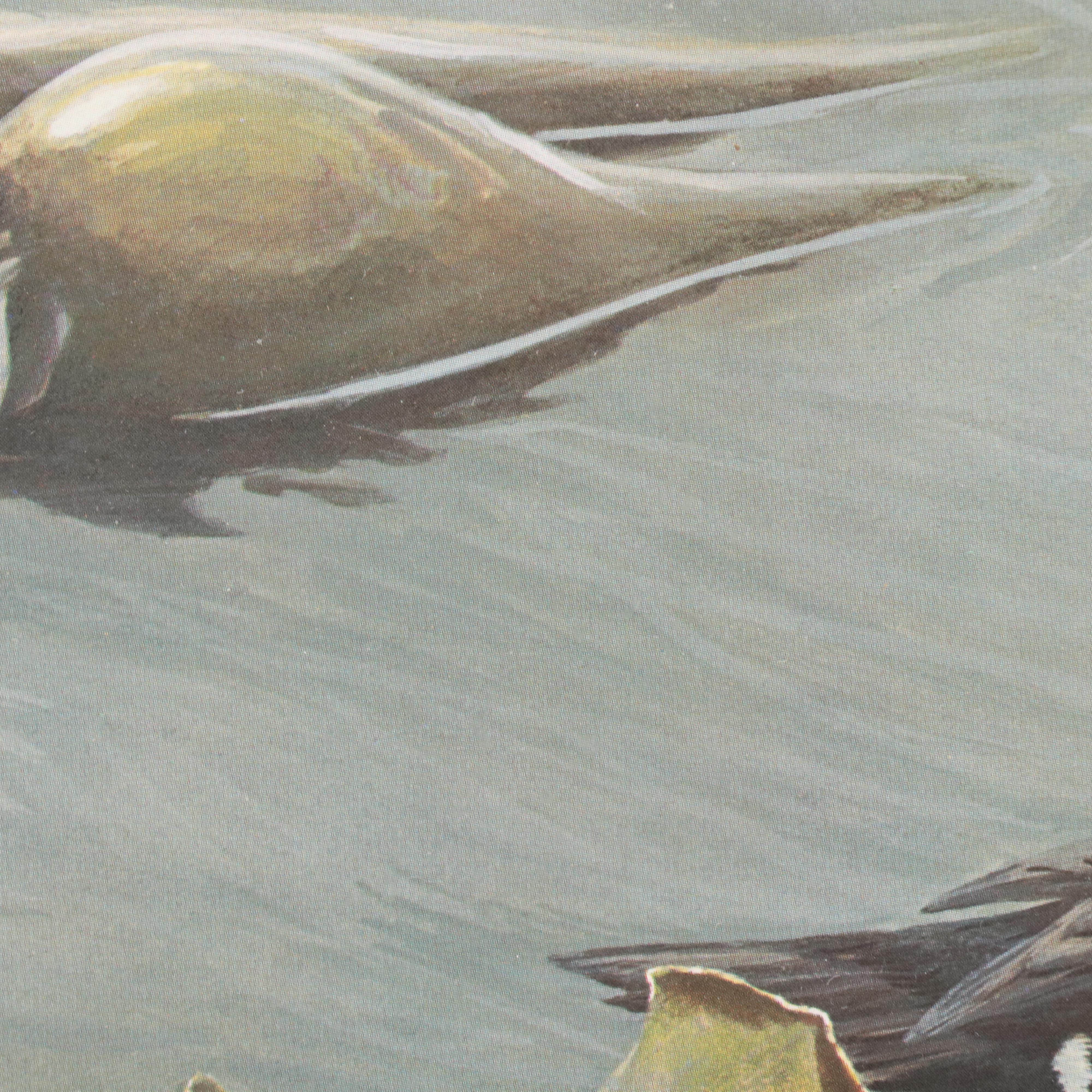 Set of Waterfowl Stamps, Including Washington Migratory Waterfowl, 1988