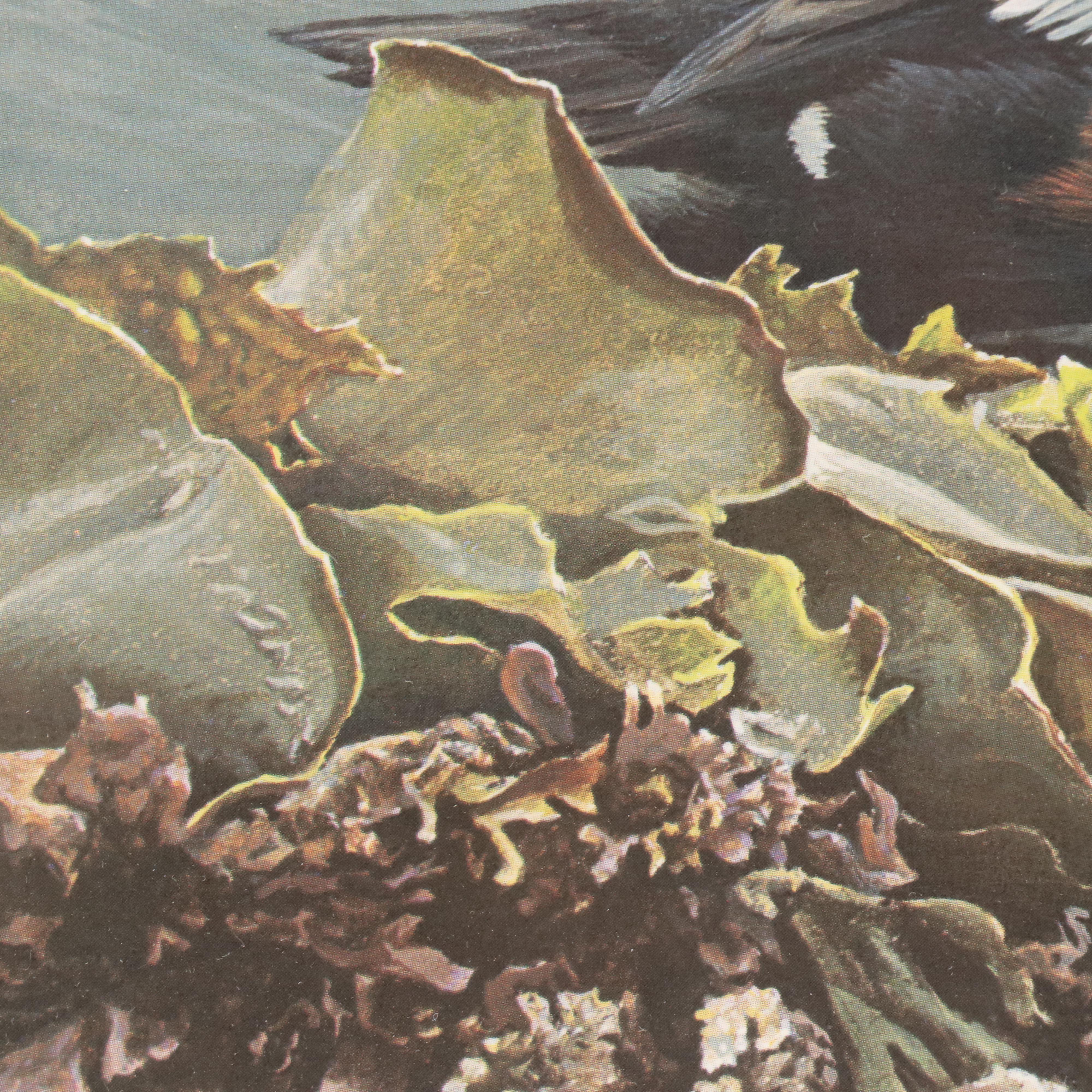 Set of Waterfowl Stamps, Including Washington Migratory Waterfowl, 1988